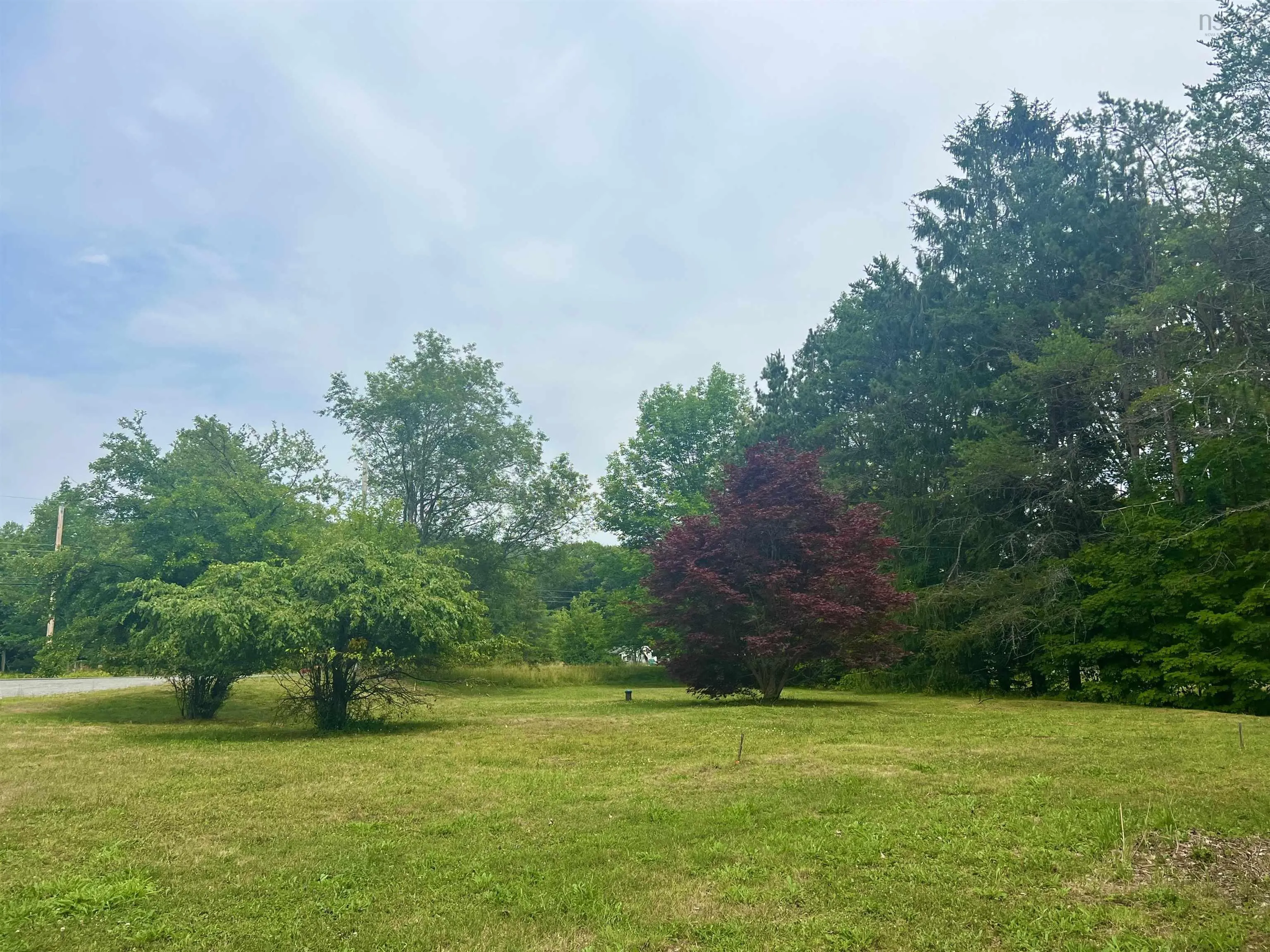 1663 10 Highway Lot A, Cookville, NS B4V 7R5, ,Land,For Sale,10,202519470