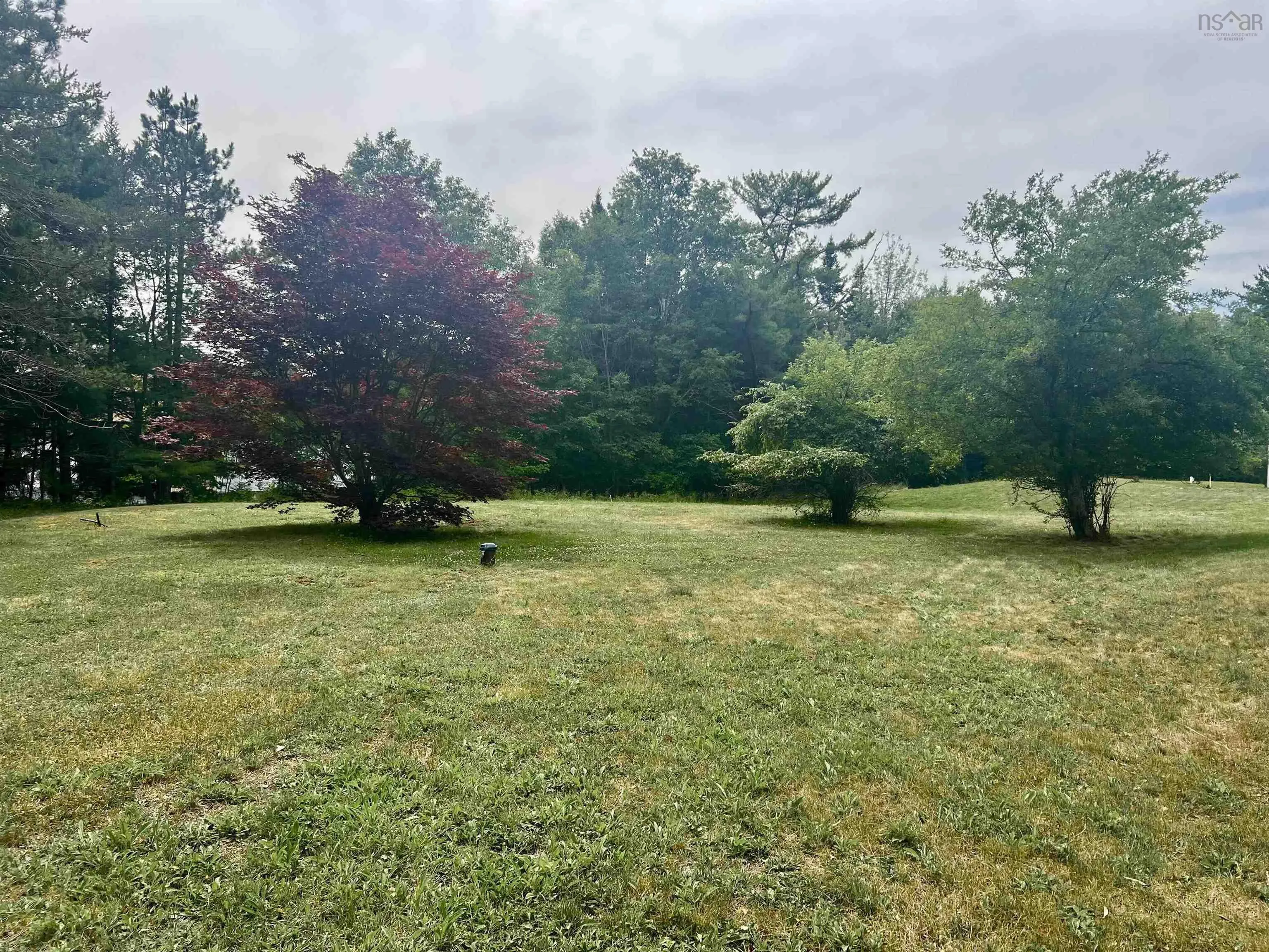 1663 10 Highway Lot A, Cookville, NS B4V 7R5, ,Land,For Sale,10,202519470