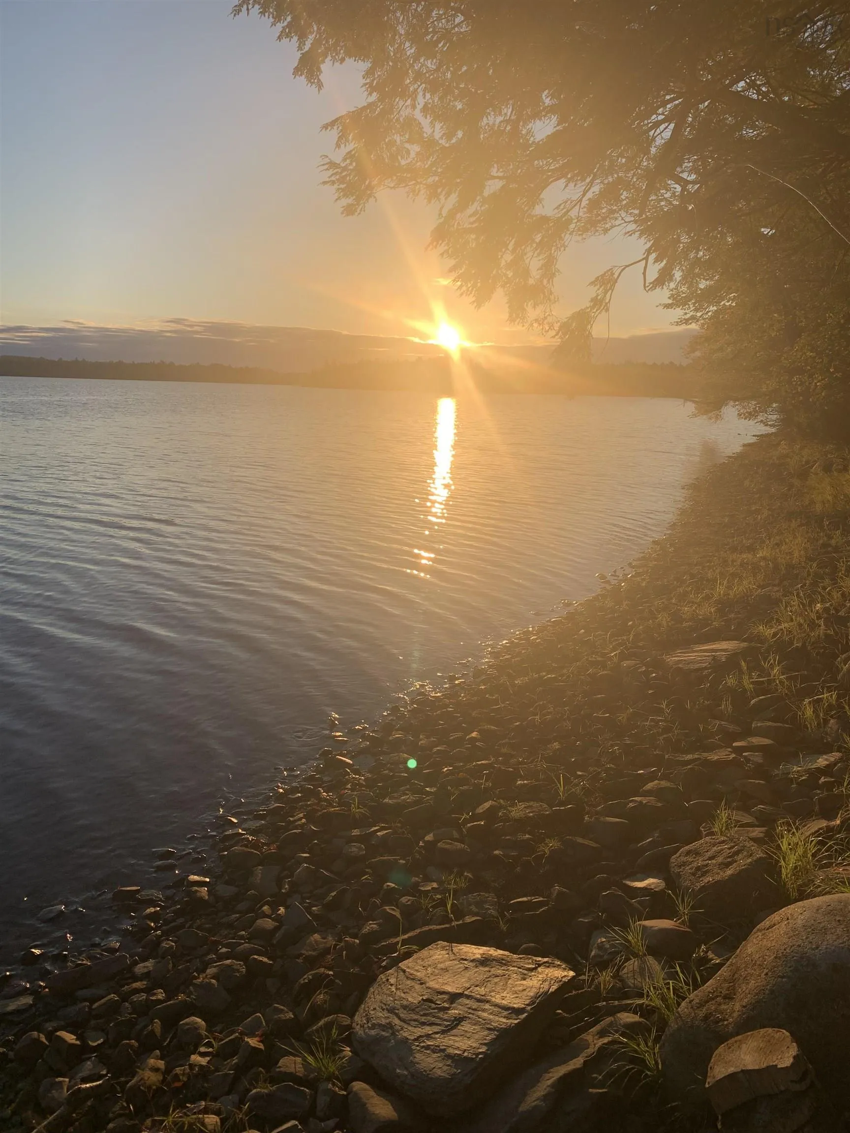 Arenburg Road Lot 103, Buckfield, NS B4V 8M5, ,Land,For Sale,Arenburg,202516419