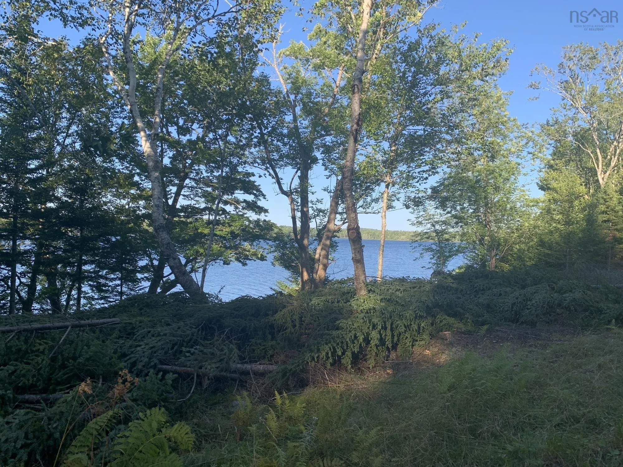 Arenburg Road Lot 103, Buckfield, NS B4V 8M5, ,Land,For Sale,Arenburg,202516419