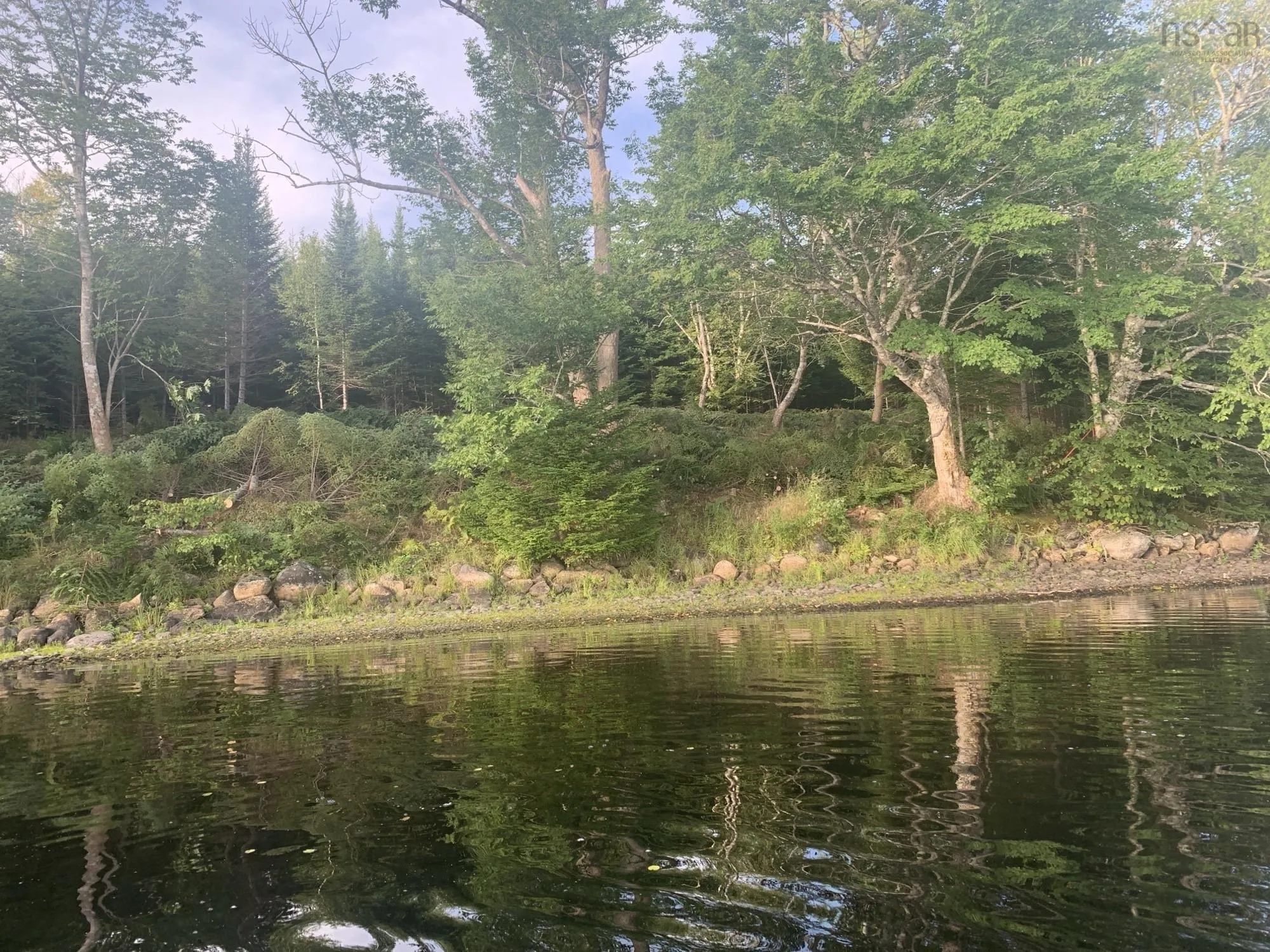 Arenburg Road Lot 103, Buckfield, NS B4V 8M5, ,Land,For Sale,Arenburg,202516419