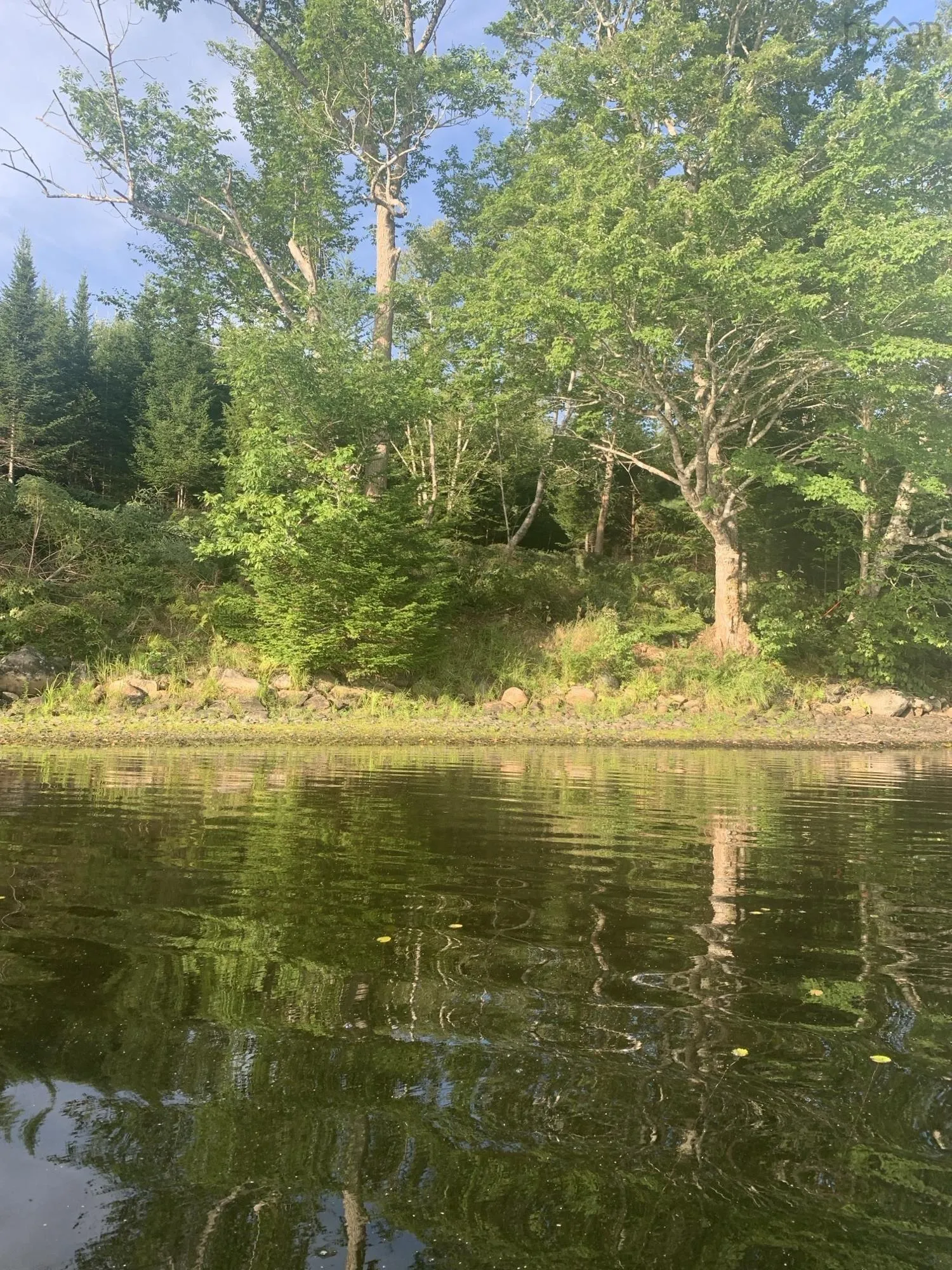 Arenburg Road Lot 103, Buckfield, NS B4V 8M5, ,Land,For Sale,Arenburg,202516419