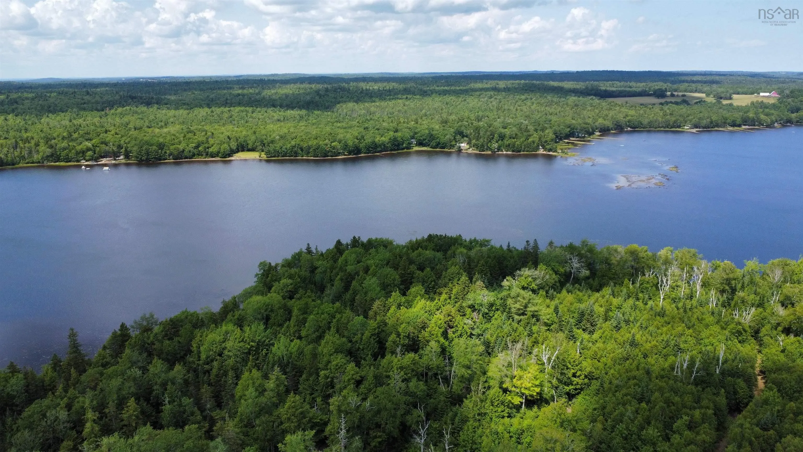 Arenburg Road Lot 103, Buckfield, NS B4V 8M5, ,Land,For Sale,Arenburg,202516419