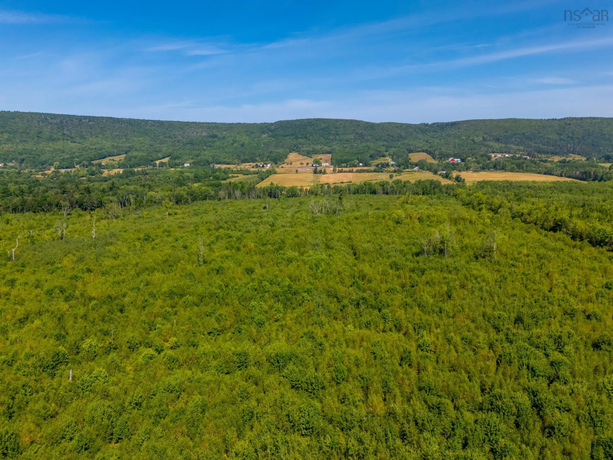 00 Balcom Road, Clarence Ns B0s 1c0, ,Land,For Sale,Balcom,202427842