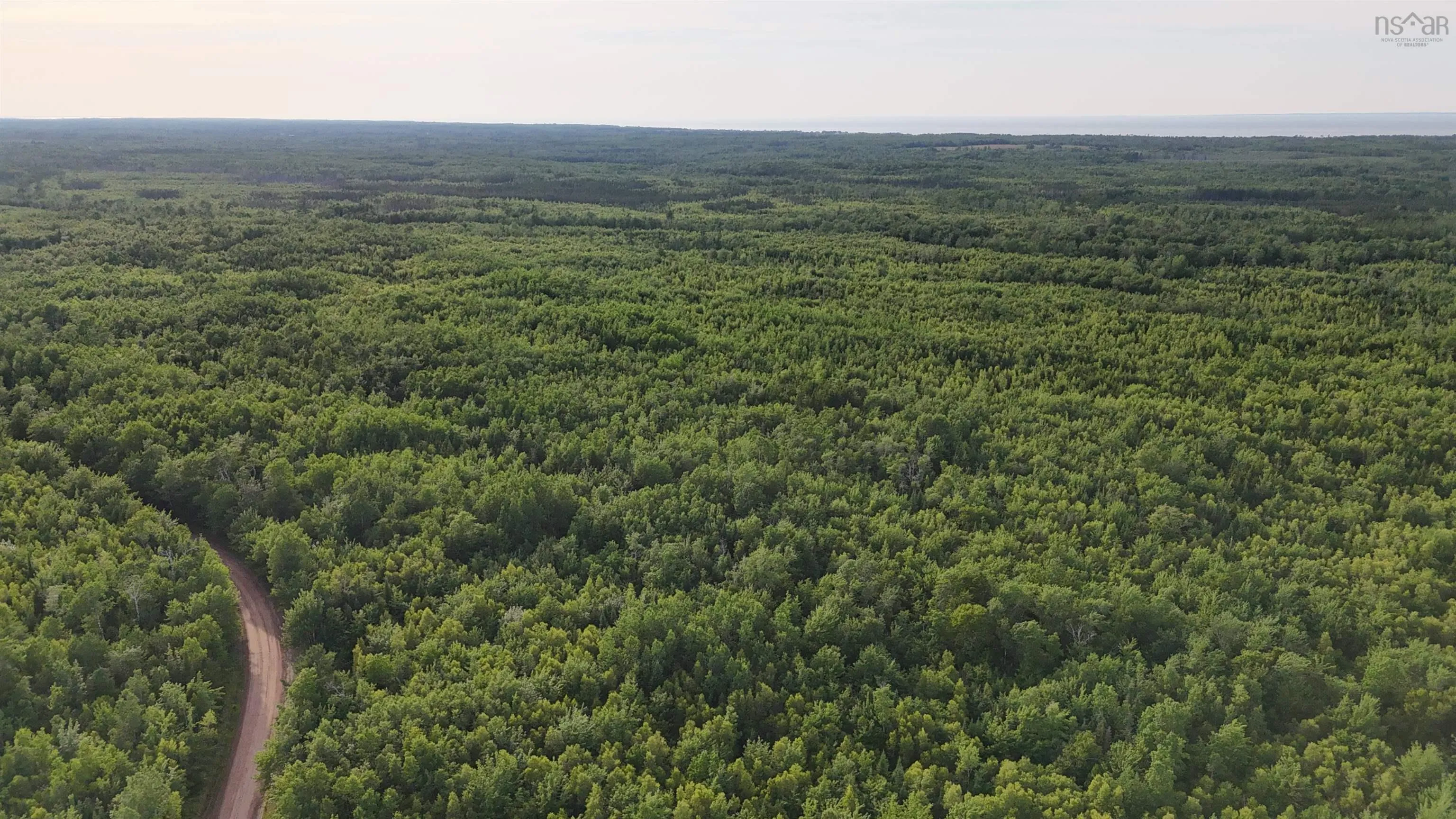458 Acres Protection Road, Three Brooks Ns B0k 1h0, ,Land,For Sale,Protection,202502384
