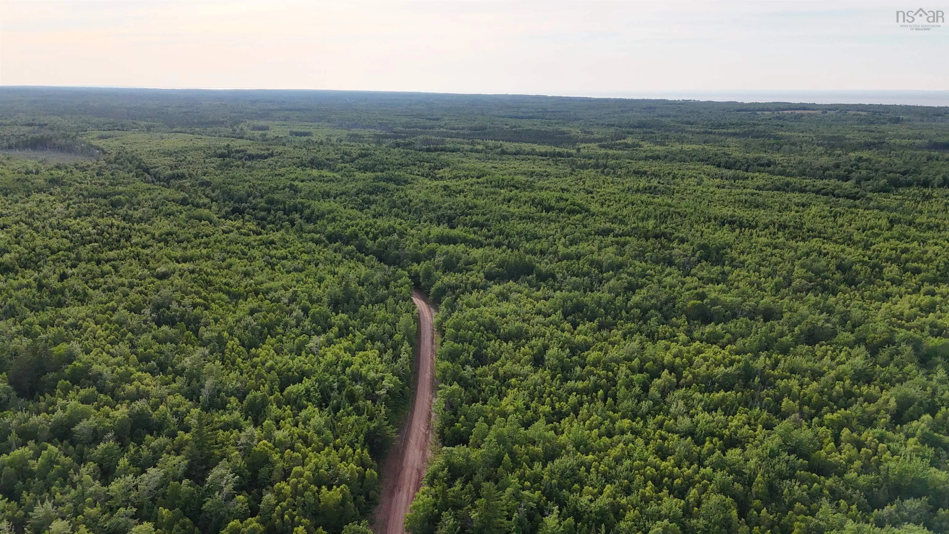 458 Acres Protection Road, Three Brooks Ns B0k 1h0, ,Land,For Sale,Protection,202502384