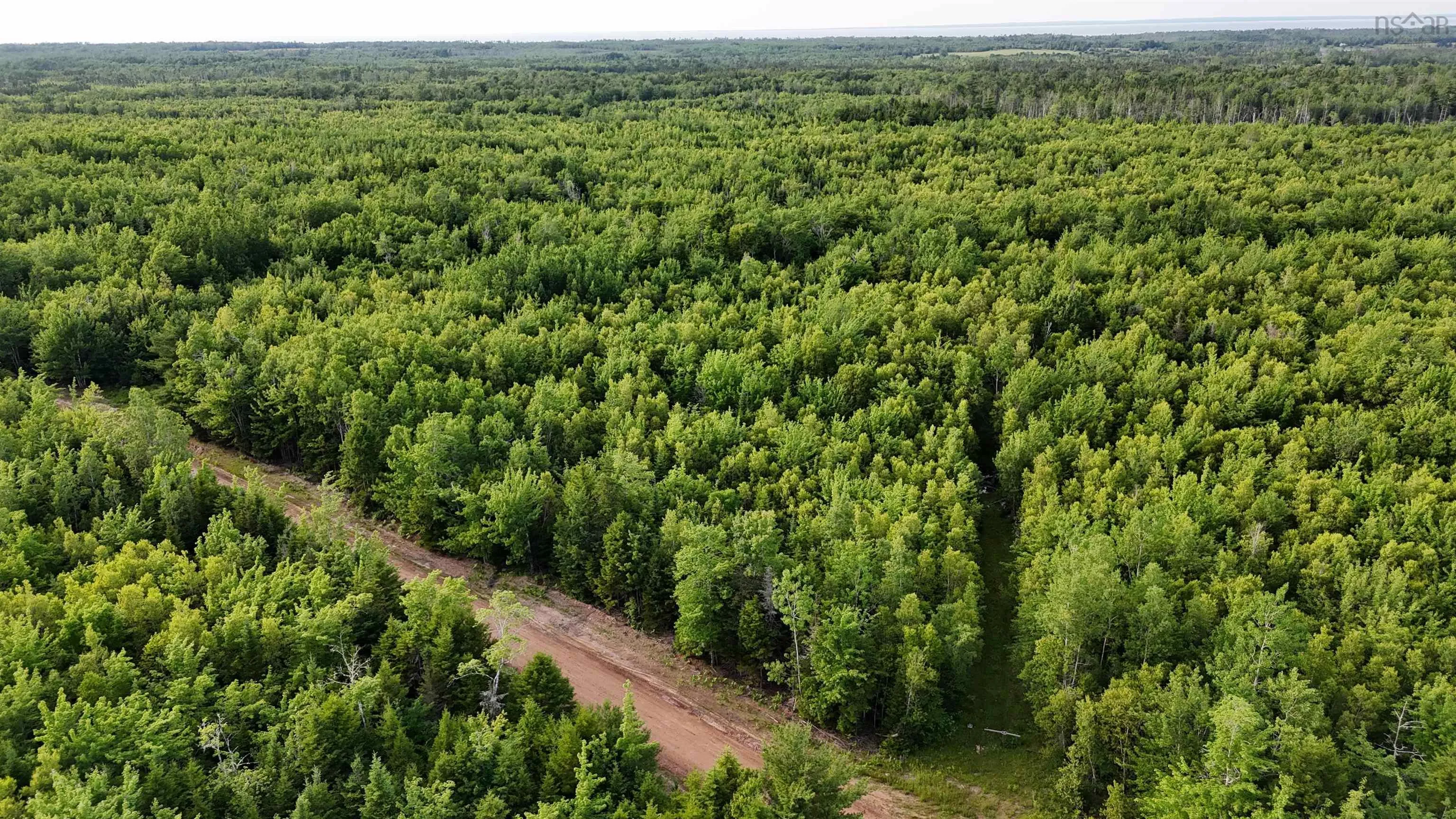 458 Acres Protection Road, Three Brooks Ns B0k 1h0, ,Land,For Sale,Protection,202502384
