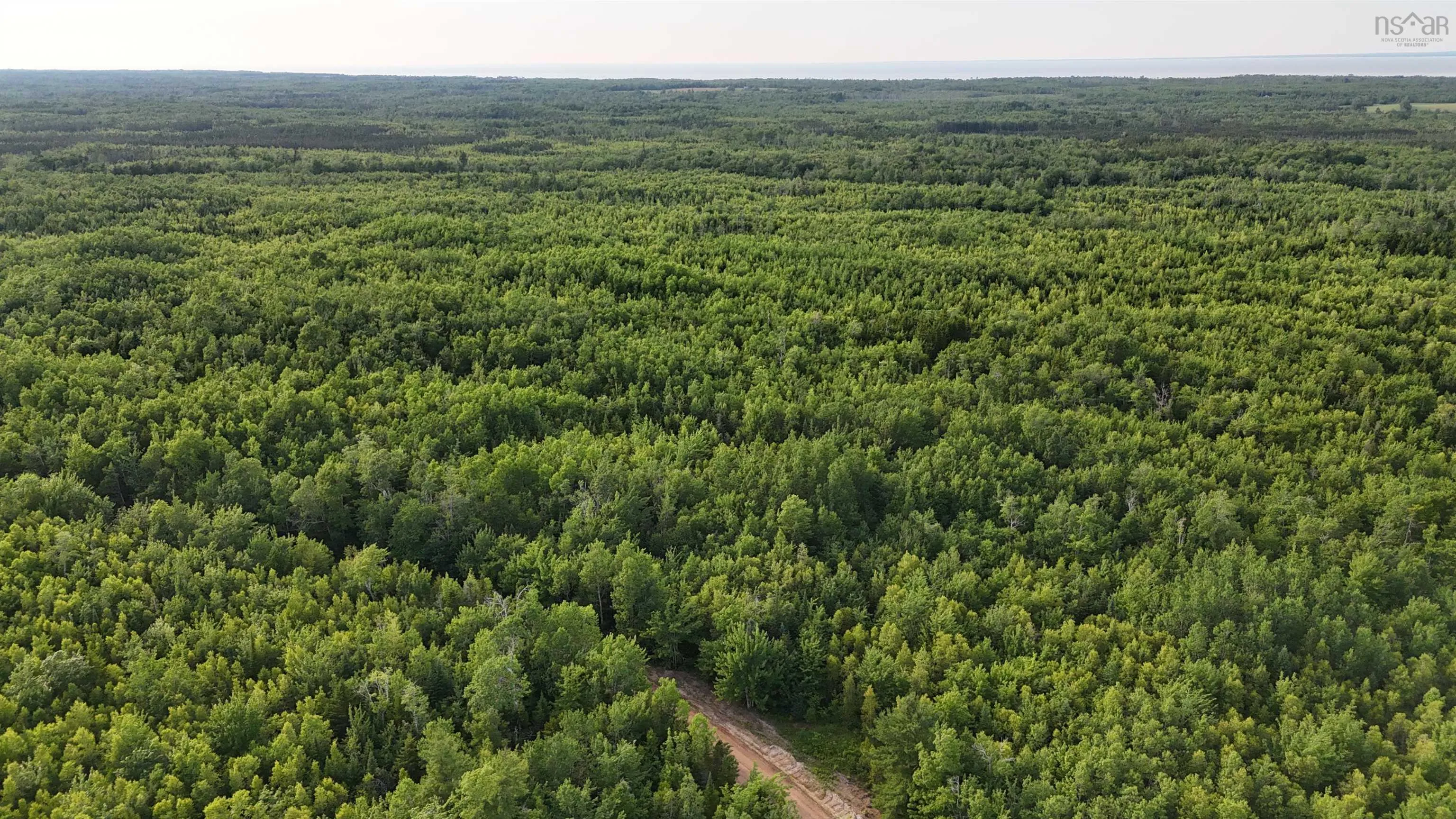 458 Acres Protection Road, Three Brooks Ns B0k 1h0, ,Land,For Sale,Protection,202502384