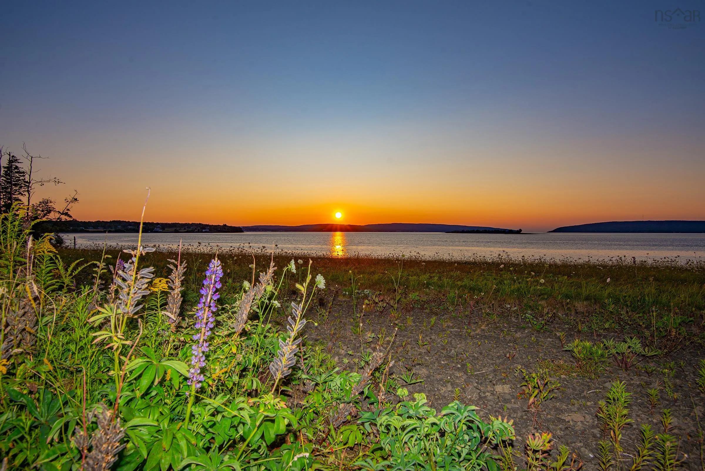 869 Highway 1, Smiths Cove, NS B0S 1S0, ,Land,For Sale,Highway 1,202520712