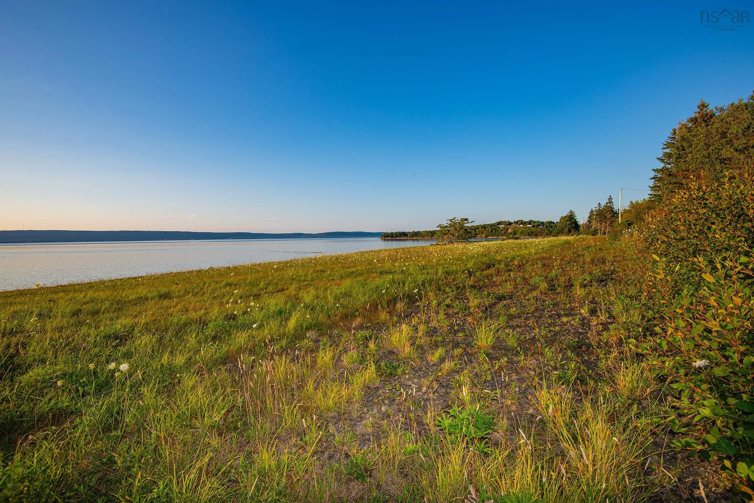 869 Highway 1, Smiths Cove, NS B0S 1S0, ,Land,For Sale,Highway 1,202520712