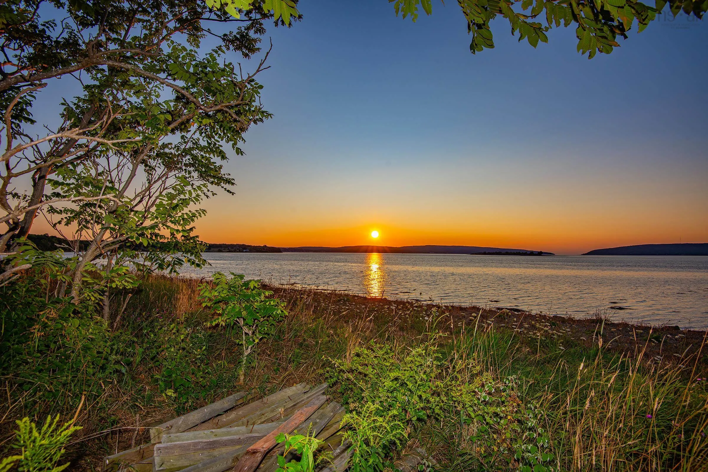 869 Highway 1, Smiths Cove, NS B0S 1S0, ,Land,For Sale,Highway 1,202520712