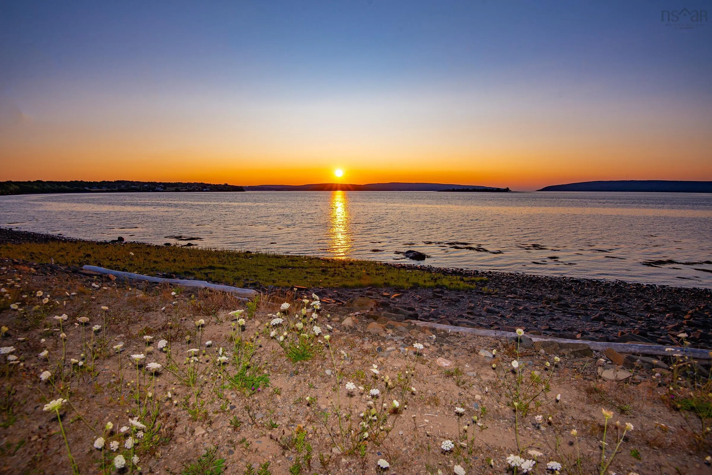 869 Highway 1, Smiths Cove, NS B0S 1S0, ,Land,For Sale,Highway 1,202520712