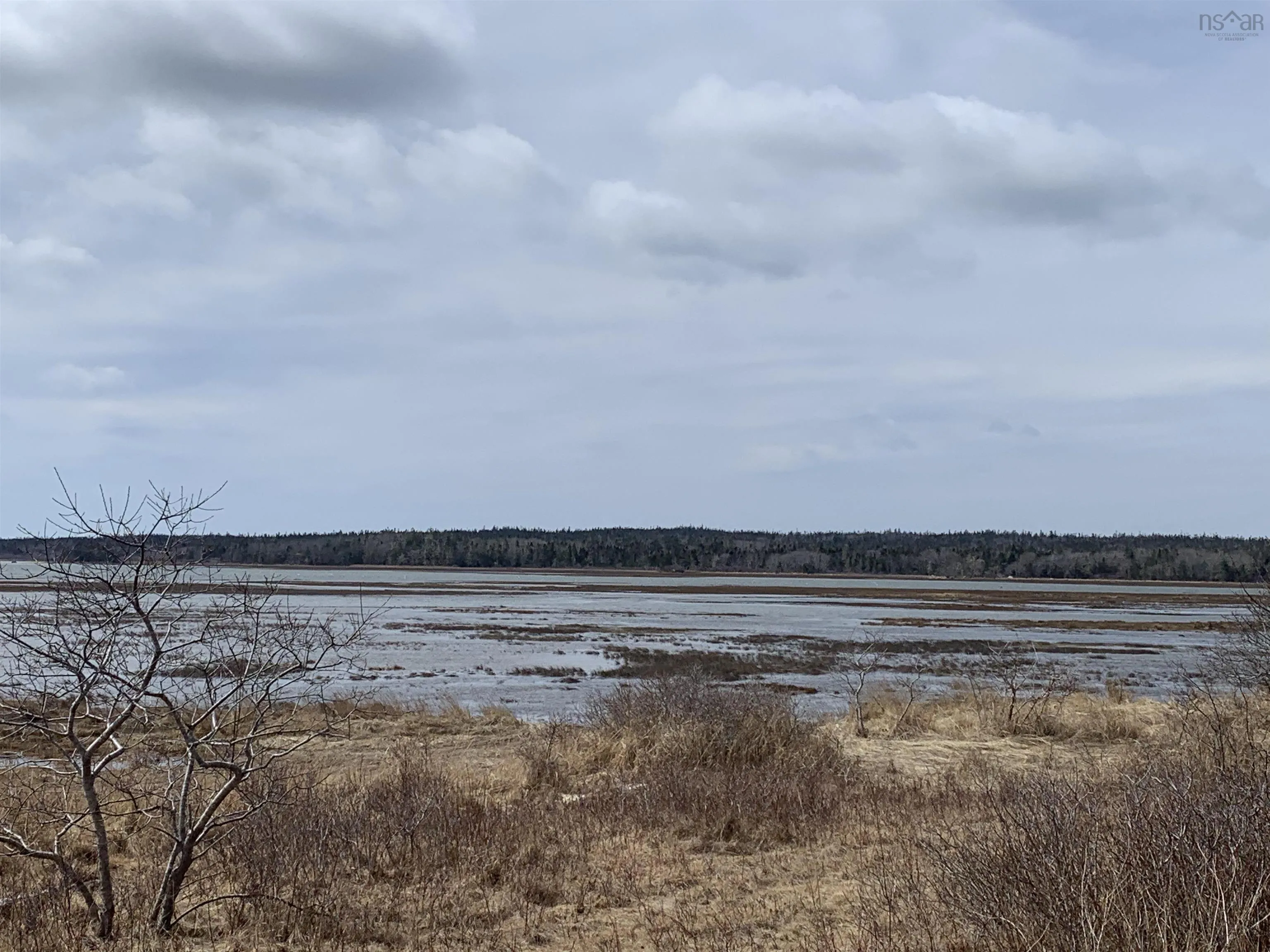 Ditcher Road Lot 2, Wedgeport Ns B0w 2b0, ,Land,For Sale,Ditcher,202105114