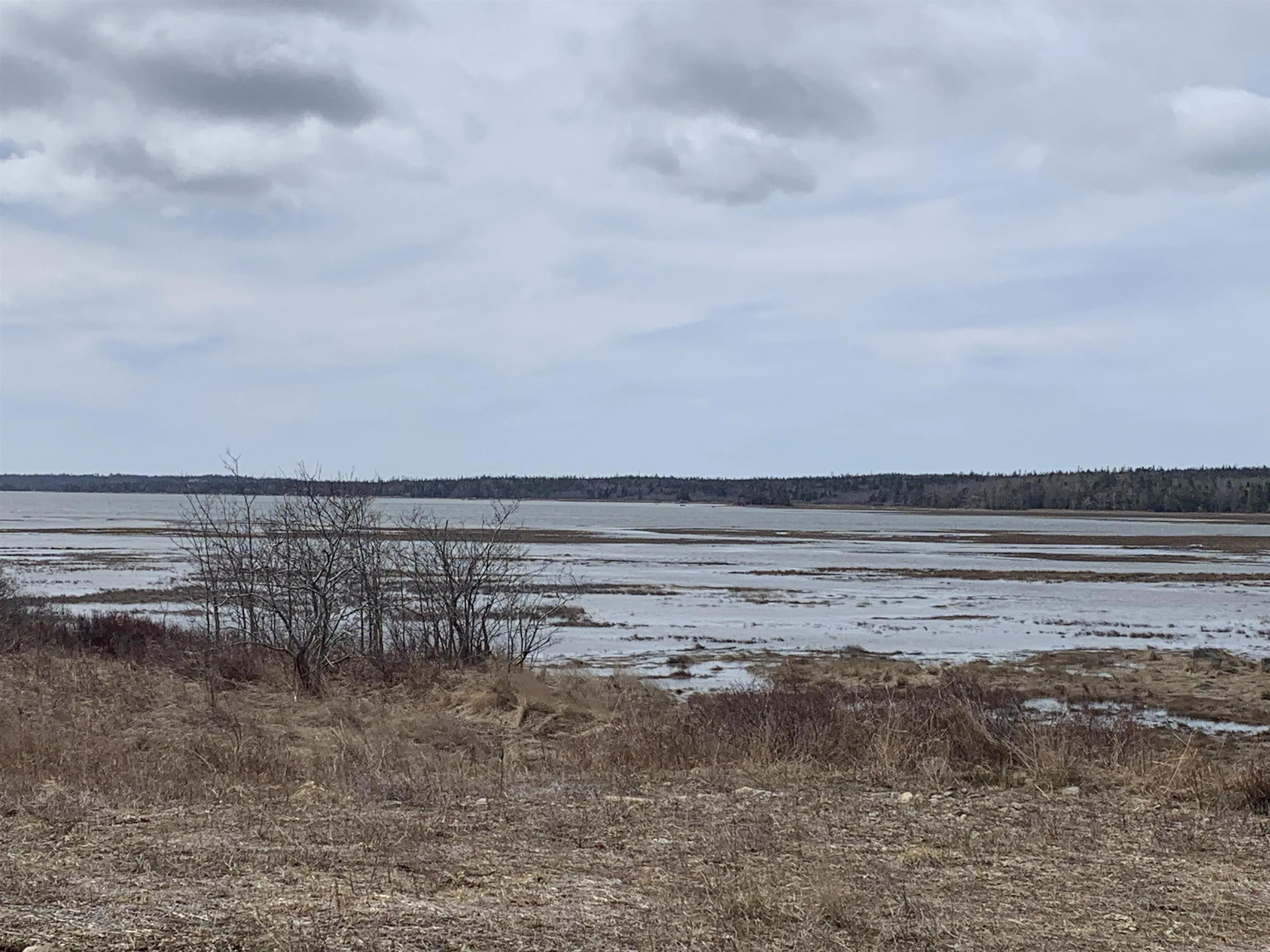 Ditcher Road Lot 2, Wedgeport Ns B0w 2b0, ,Land,For Sale,Ditcher,202105114