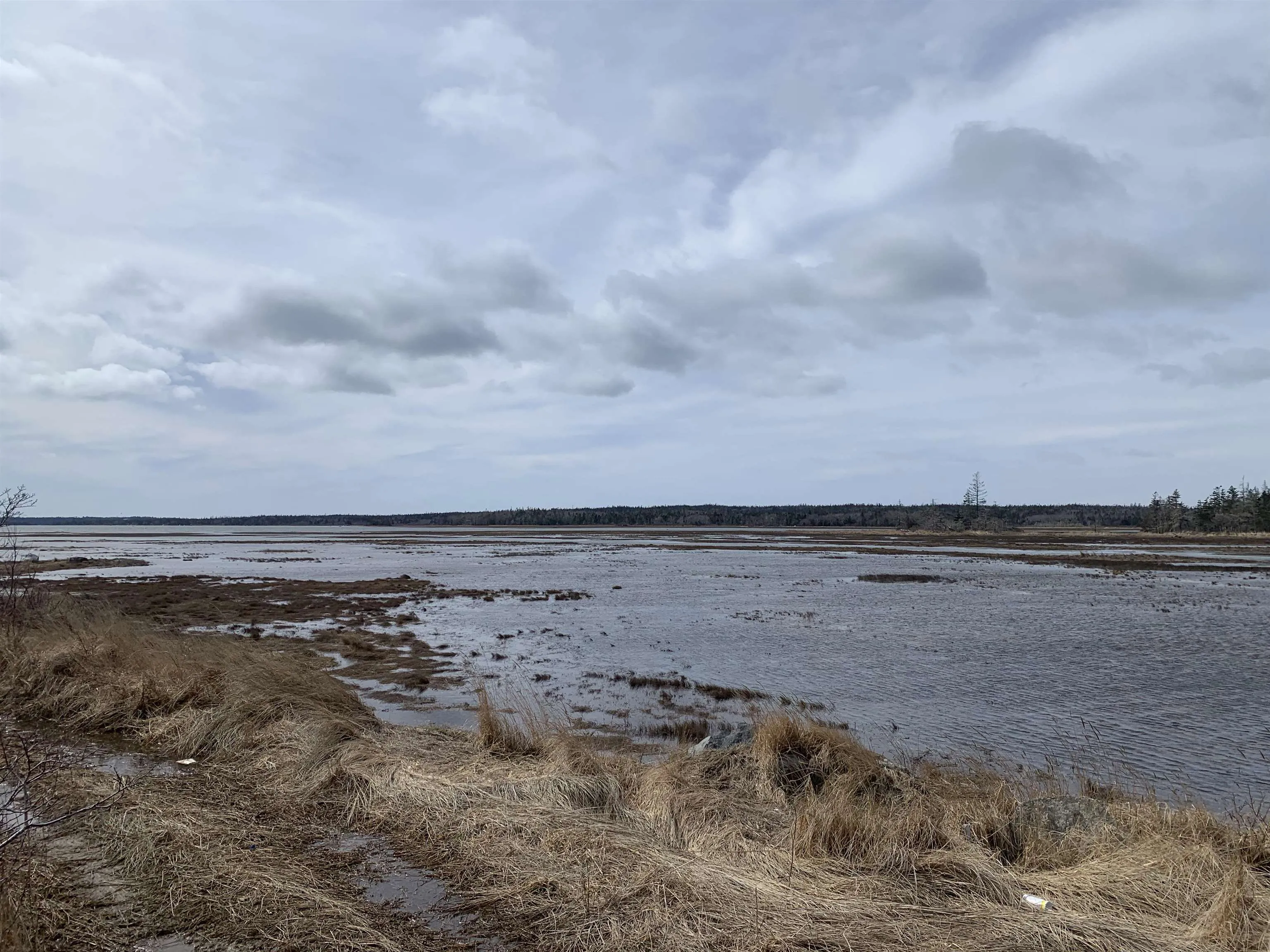 Ditcher Road Lot 2, Wedgeport Ns B0w 2b0, ,Land,For Sale,Ditcher,202105114