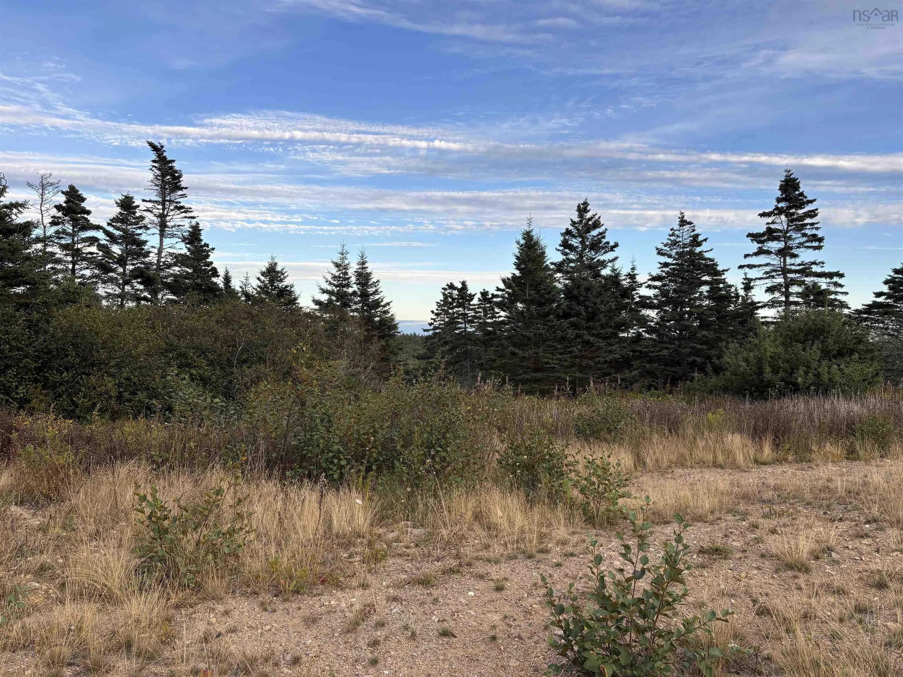 966 Highway 217, Freeport, NS B0V 1G0, ,Land,For Sale,Highway 217,202523313
