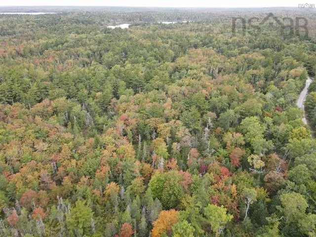 Canada Hill Road, Canada Hill Ns B0t 1l0, ,Land,For Sale,Canada Hill,202507306
