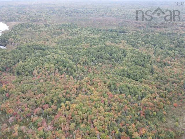 Canada Hill Road, Canada Hill Ns B0t 1l0, ,Land,For Sale,Canada Hill,202507306