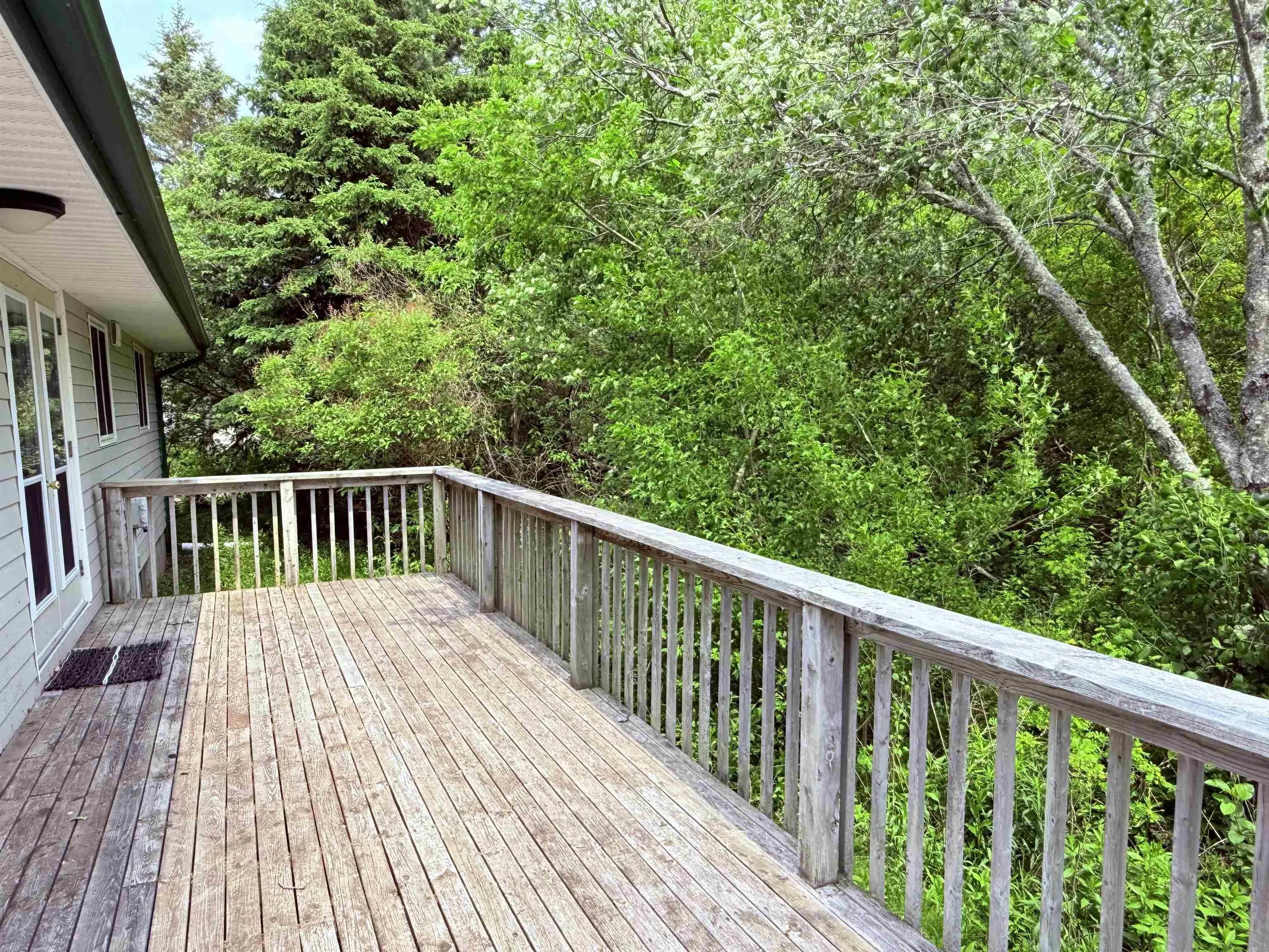 2594 376 Highway, Lyons Brook Ns B0k 1h0, 3 Bedrooms Bedrooms, ,1 BathroomBathrooms,Residential,For Sale,376,202508539