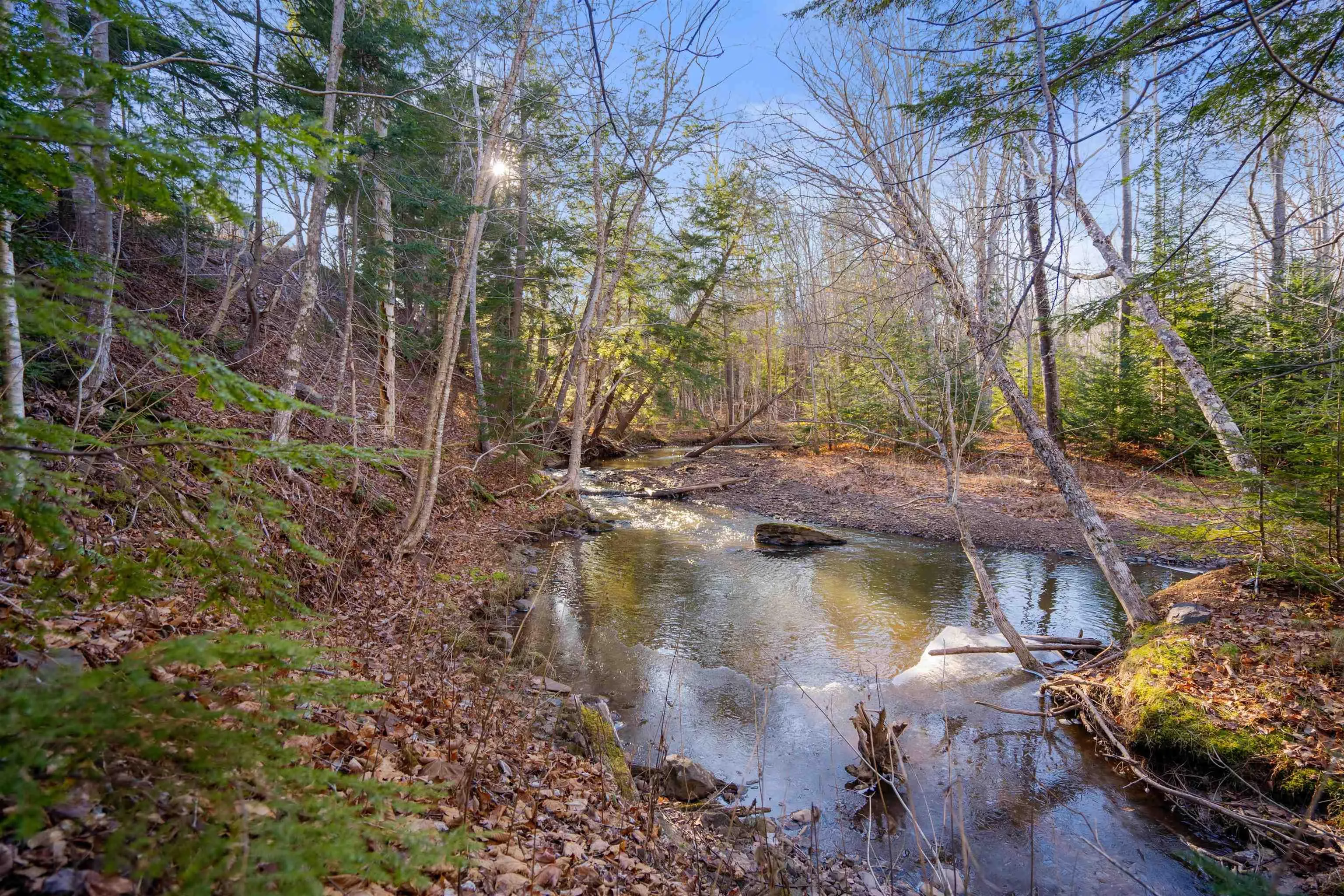 Pine Tree Road, Pine Tree Ns B0k 1w0, ,Land,For Sale,Pine Tree Road,202428375
