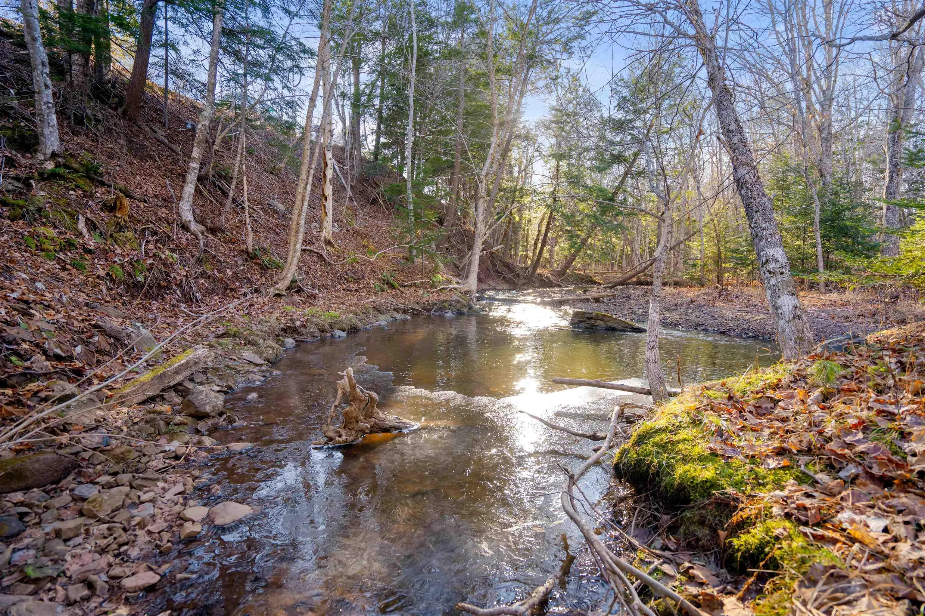 Pine Tree Road, Pine Tree Ns B0k 1w0, ,Land,For Sale,Pine Tree Road,202428375