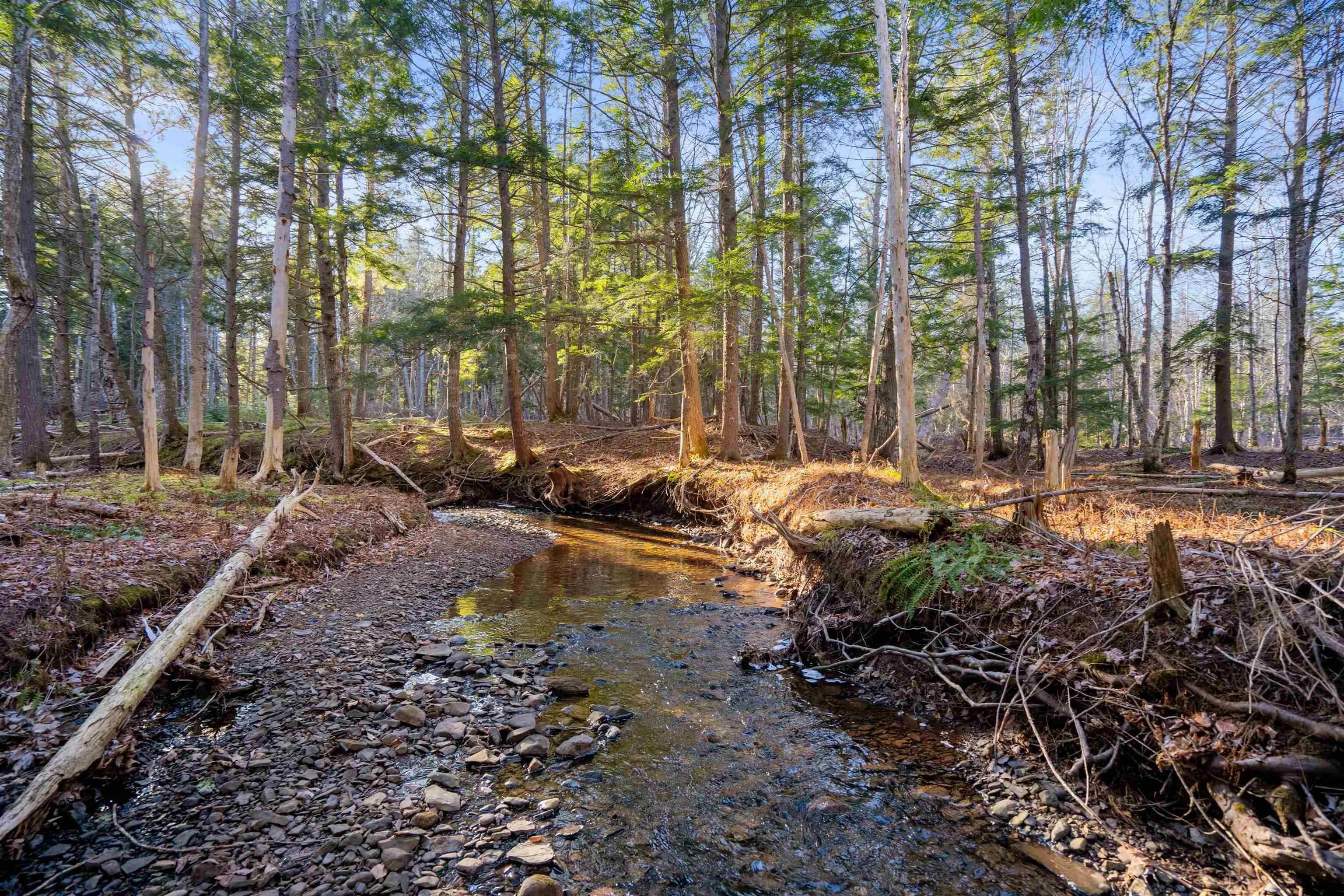 Pine Tree Road, Pine Tree Ns B0k 1w0, ,Land,For Sale,Pine Tree Road,202428375