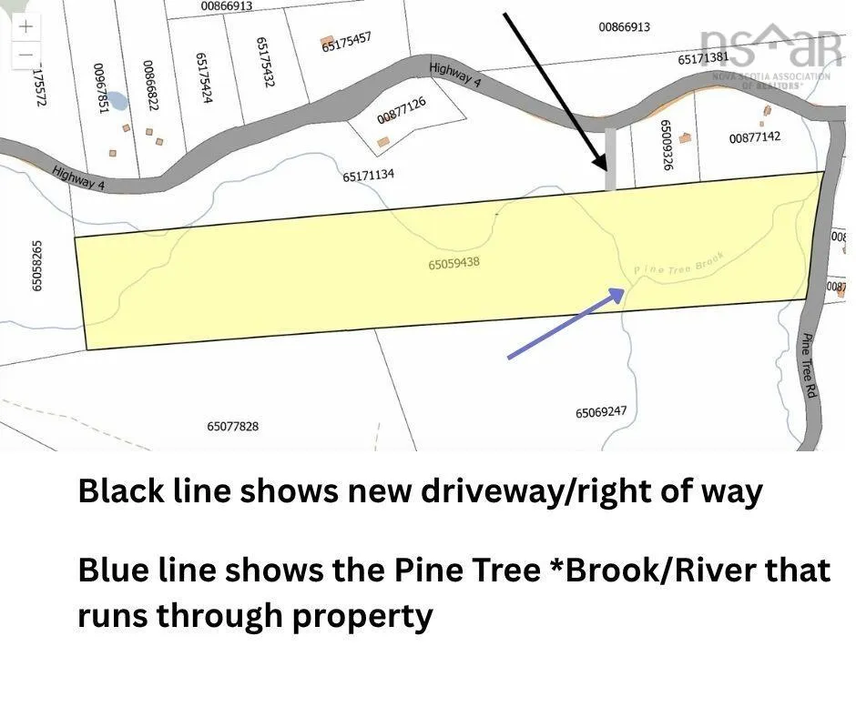 Pine Tree Road, Pine Tree Ns B0k 1w0, ,Land,For Sale,Pine Tree Road,202428375