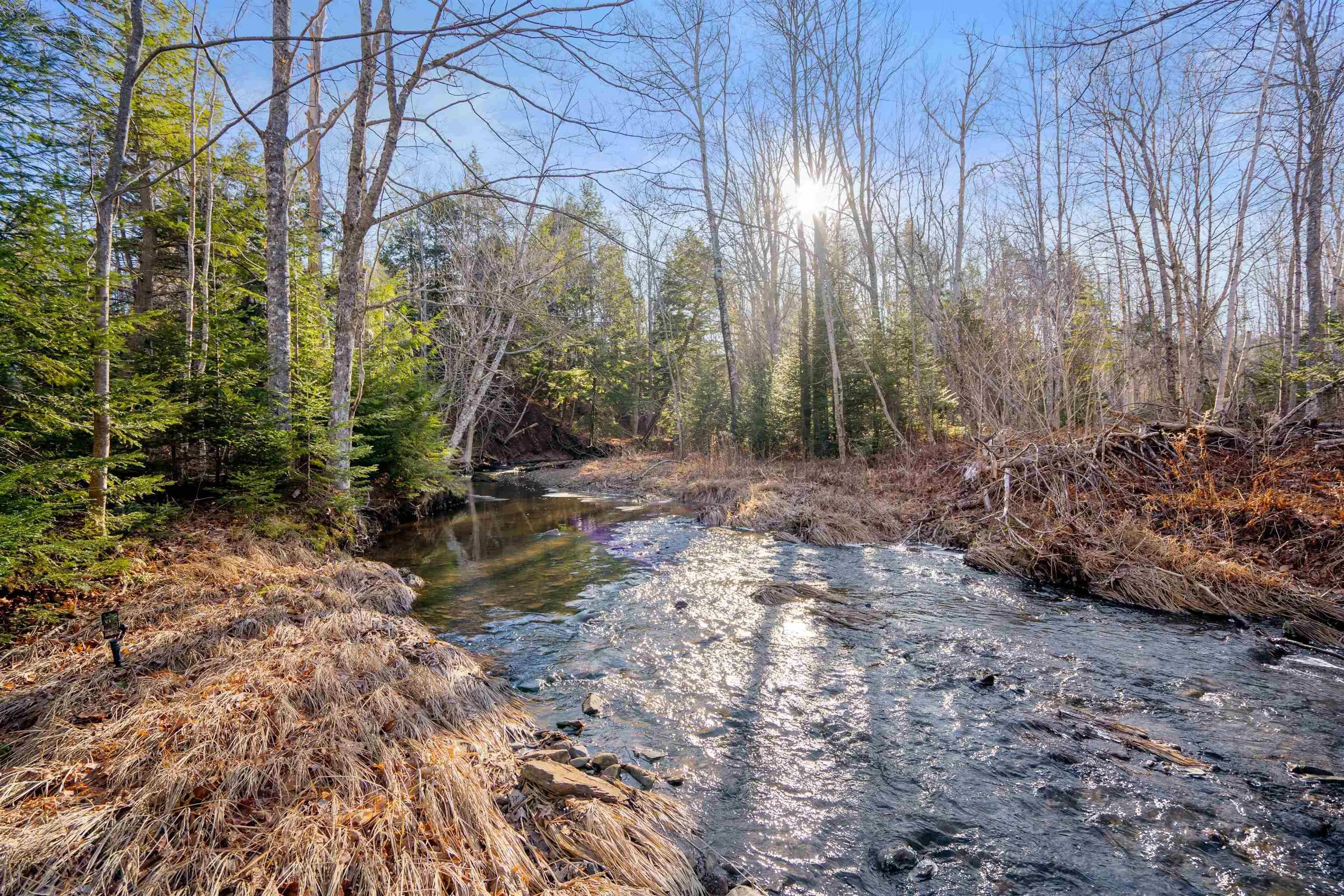 Pine Tree Road, Pine Tree Ns B0k 1w0, ,Land,For Sale,Pine Tree Road,202428375