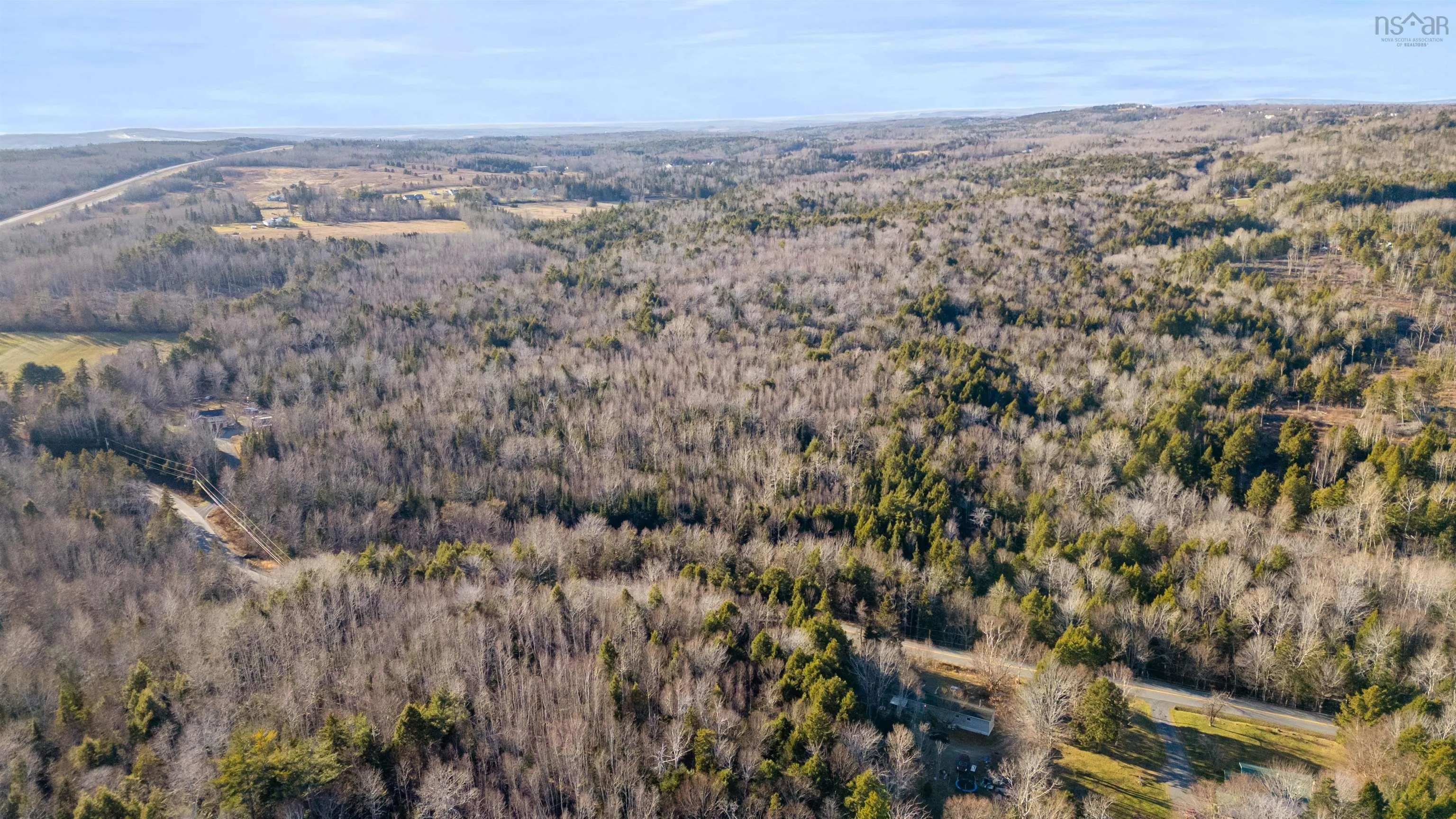 Pine Tree Road, Pine Tree Ns B0k 1w0, ,Land,For Sale,Pine Tree Road,202428375