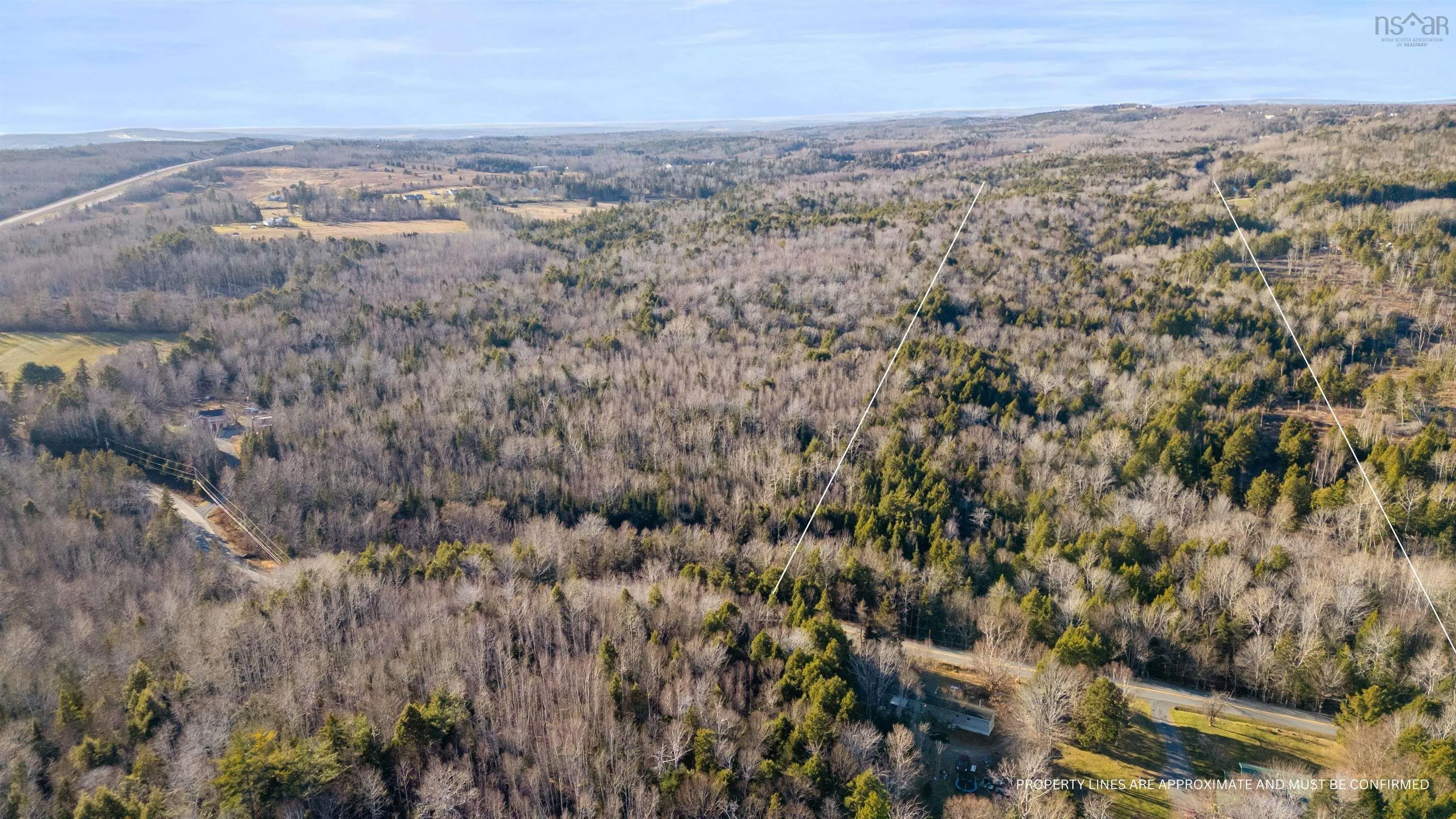 Pine Tree Road, Pine Tree Ns B0k 1w0, ,Land,For Sale,Pine Tree Road,202428375