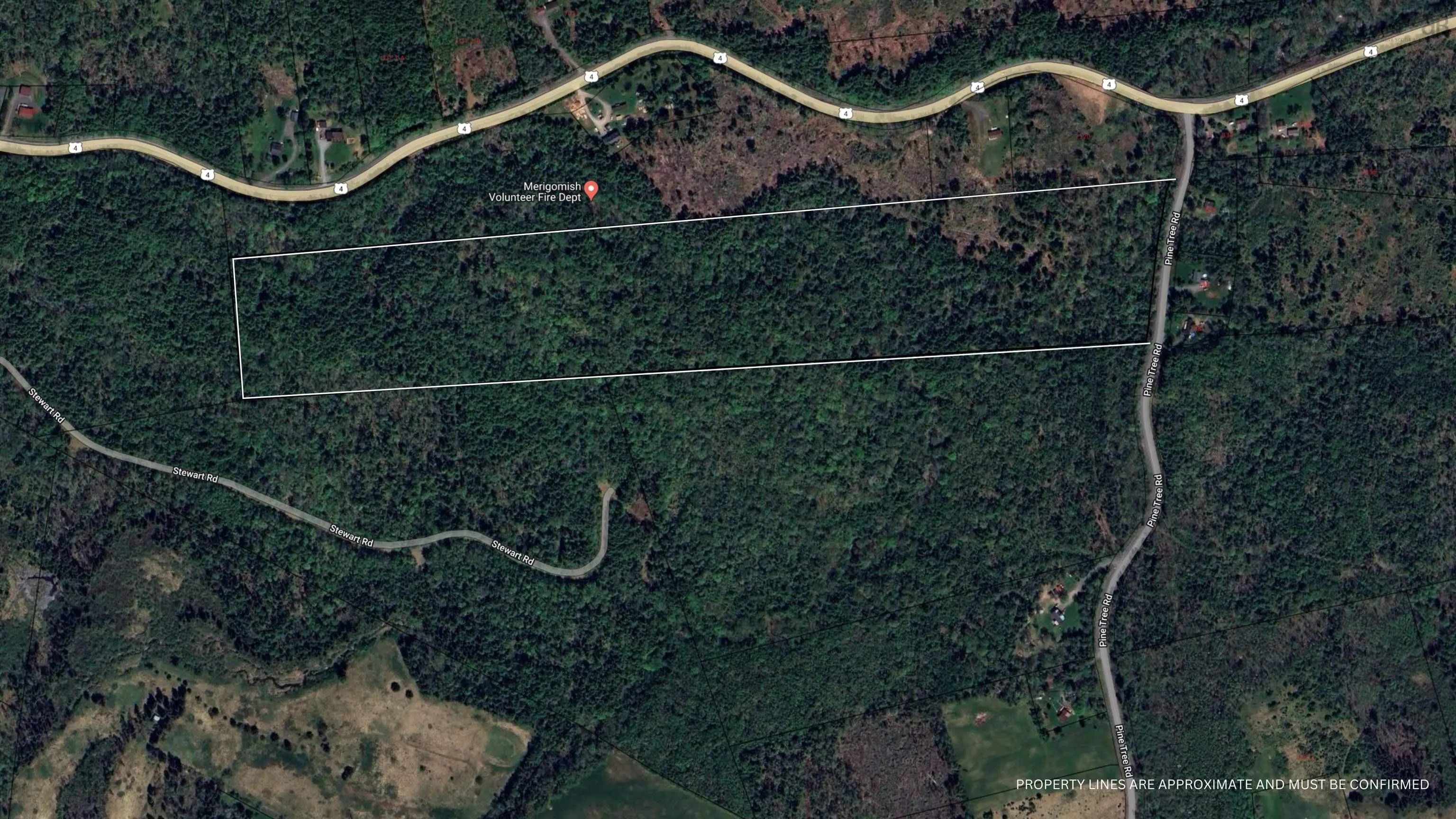 Pine Tree Road, Pine Tree Ns B0k 1w0, ,Land,For Sale,Pine Tree Road,202428375