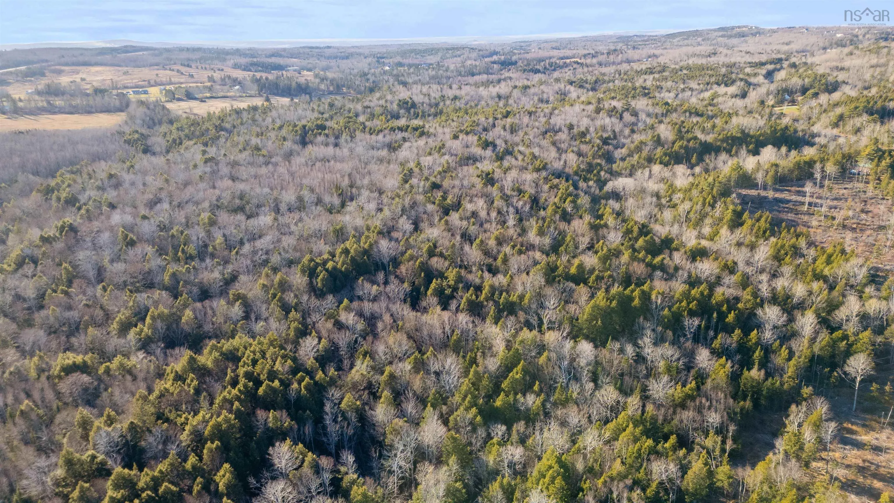 Pine Tree Road, Pine Tree Ns B0k 1w0, ,Land,For Sale,Pine Tree Road,202428375