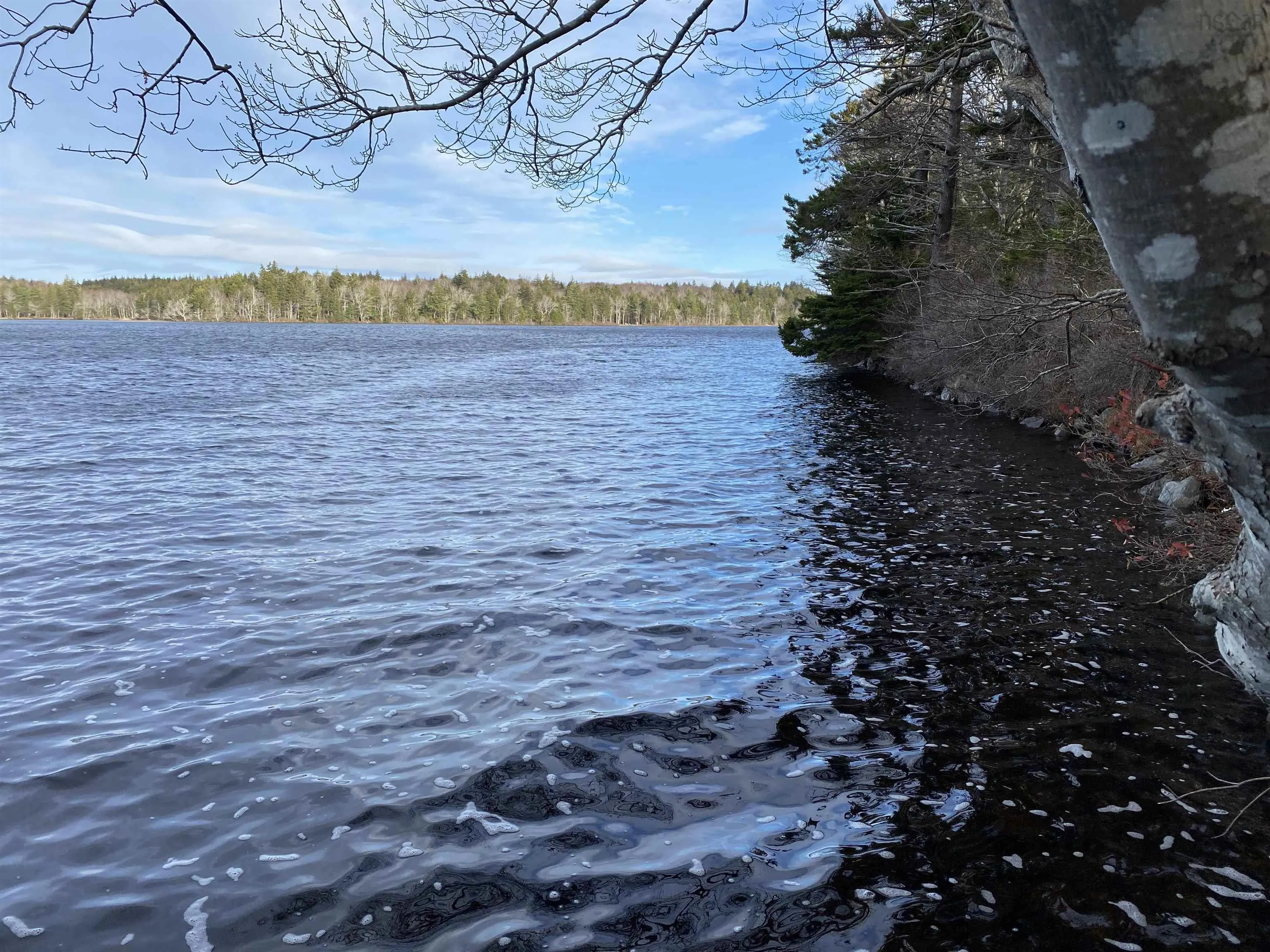 Grosses Coques Road Lot 3, Grosses Coques, NS B0W 3T0, ,Land,For Sale,Grosses Coques,202517678