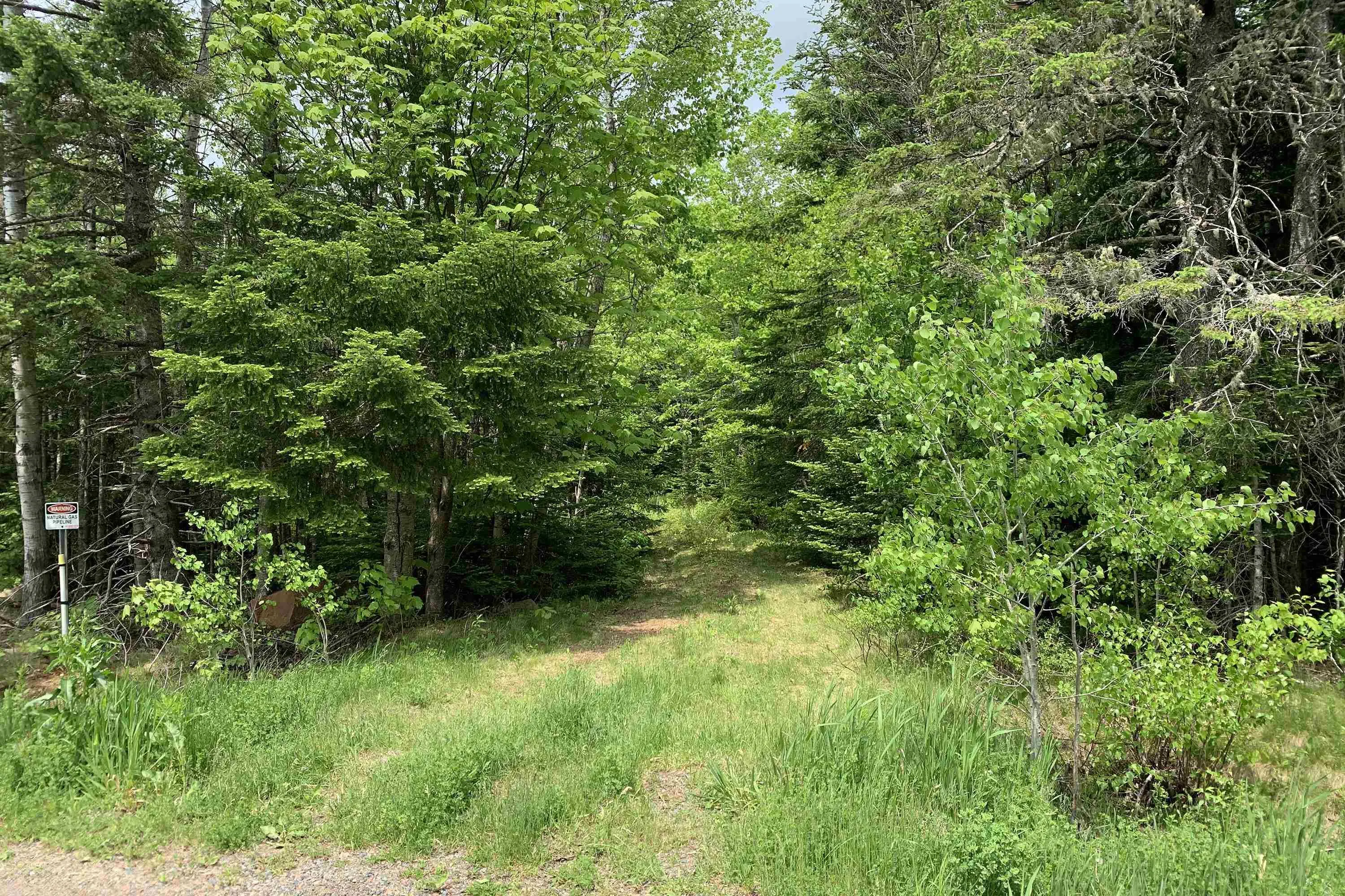 Highway 321 Lot 6, Roslin, NS B0K 1K0, ,Land,For Sale,Highway 321,202513193