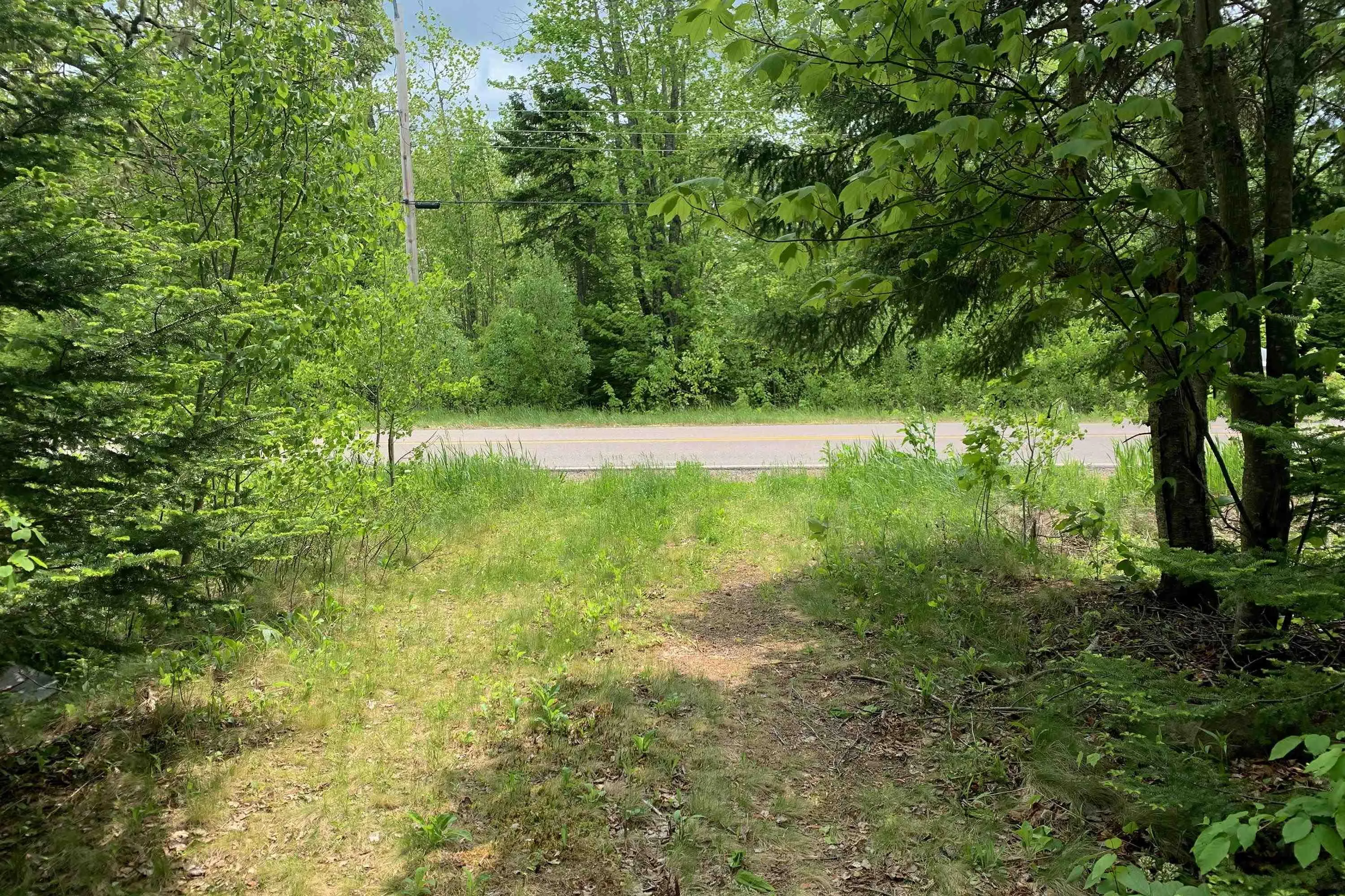 Highway 321 Lot 6, Roslin, NS B0K 1K0, ,Land,For Sale,Highway 321,202513193