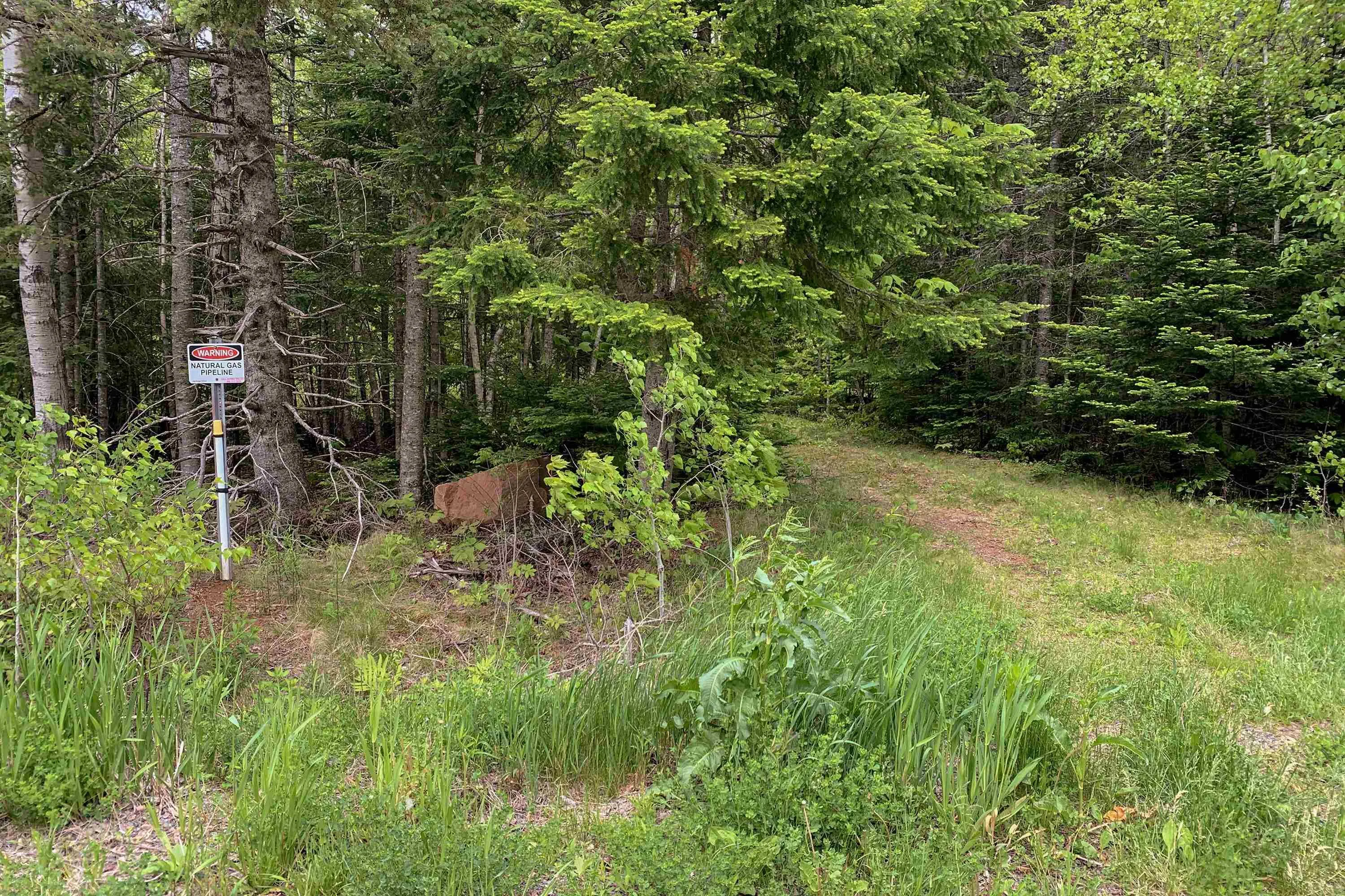 Highway 321 Lot 6, Roslin, NS B0K 1K0, ,Land,For Sale,Highway 321,202513193