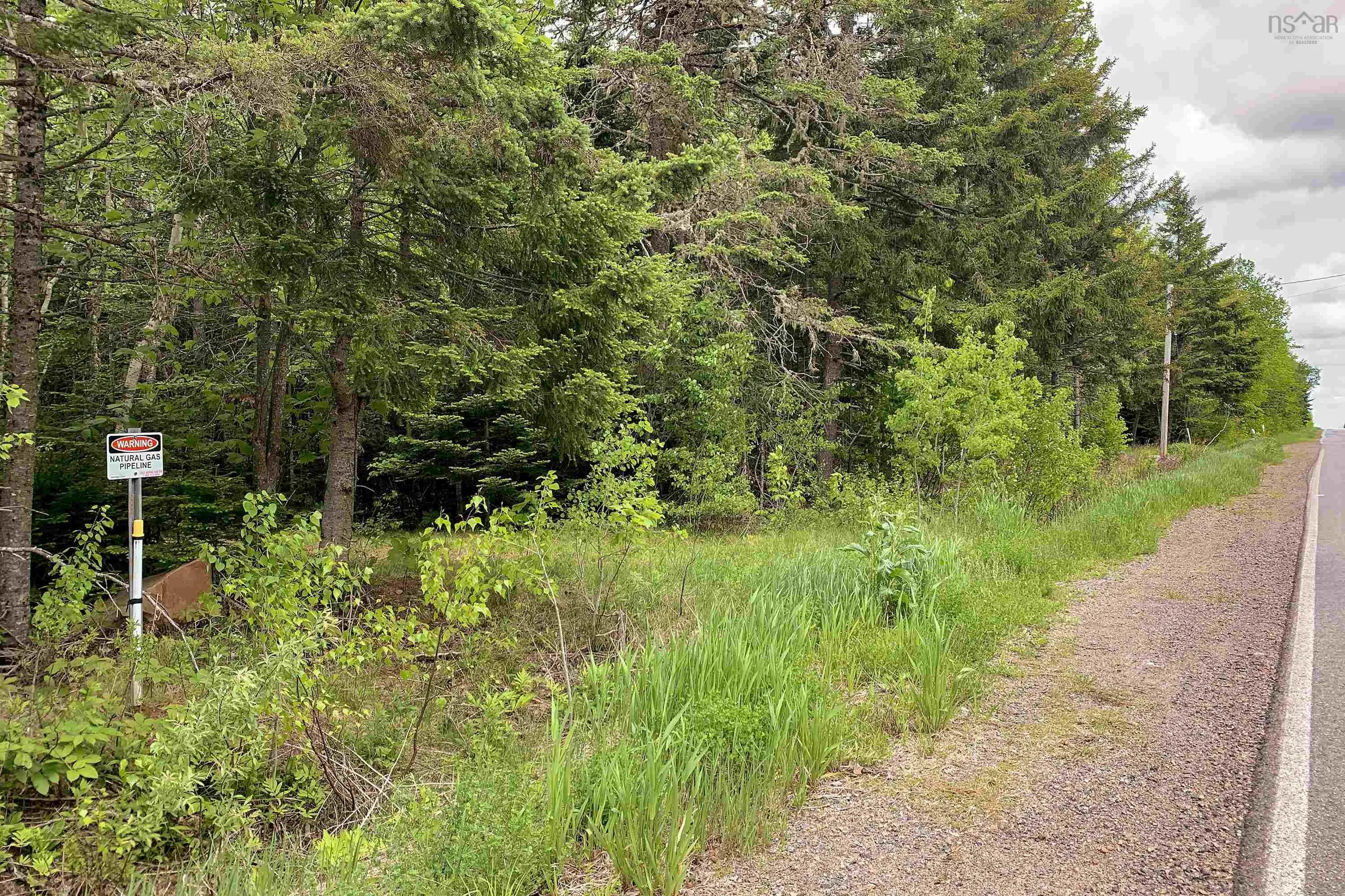 Highway 321 Lot 6, Roslin, NS B0K 1K0, ,Land,For Sale,Highway 321,202513193
