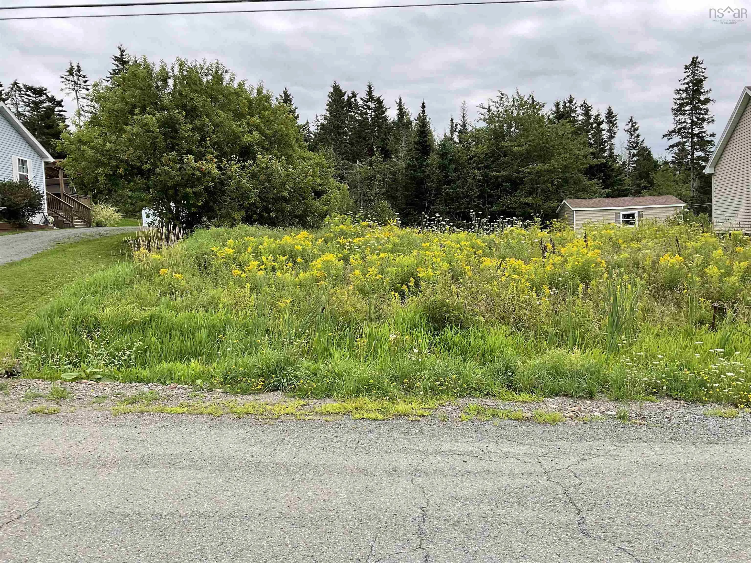 Lorraine Lane, Lower South River Ns B2g 0b4, ,Land,For Sale,Lorraine Lane,202414415