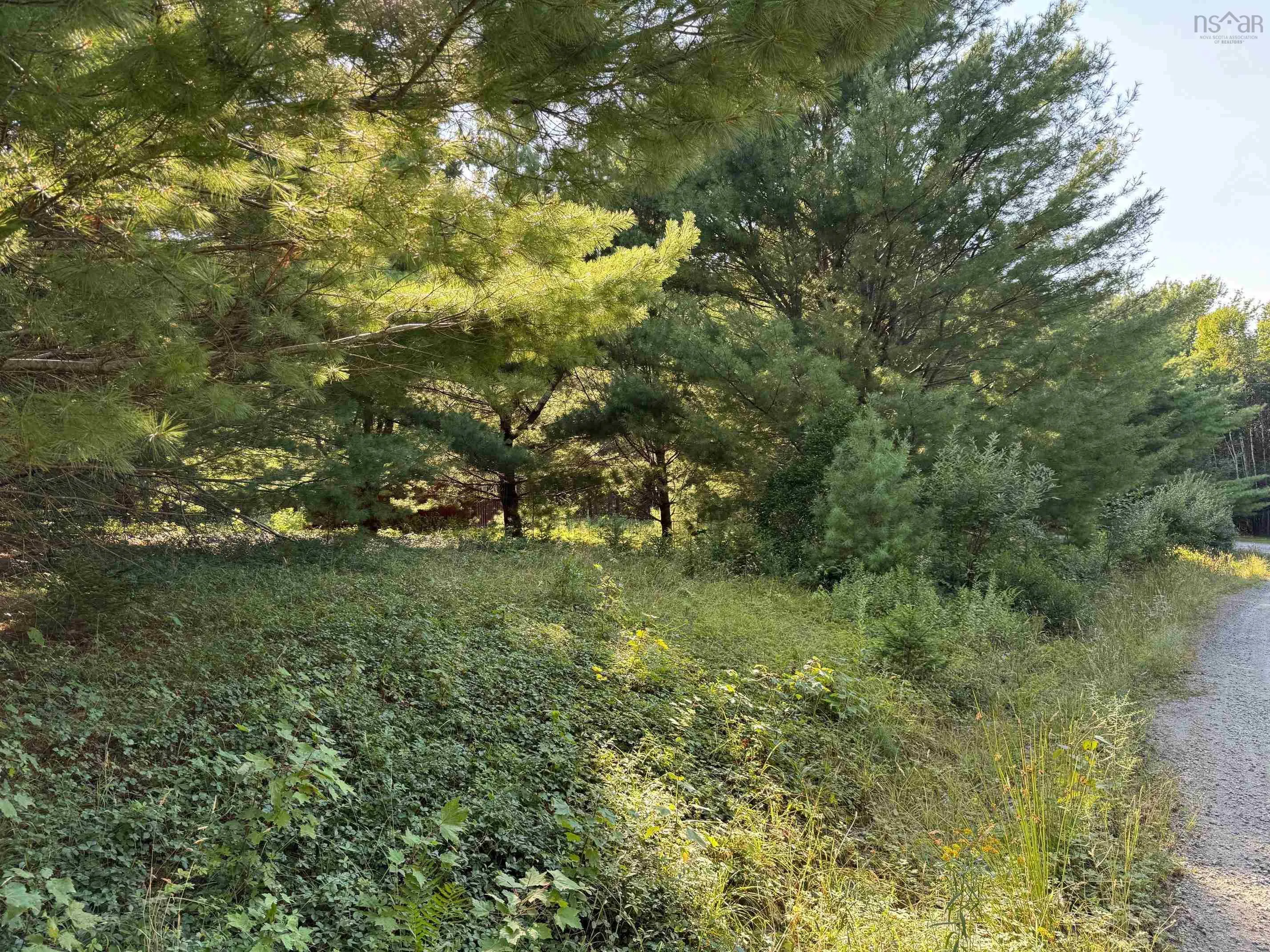 199 Kempt Back Lake Road, Kemptville, NS B5A 5X9, ,Land,For Sale,Kempt Back Lake,202520995