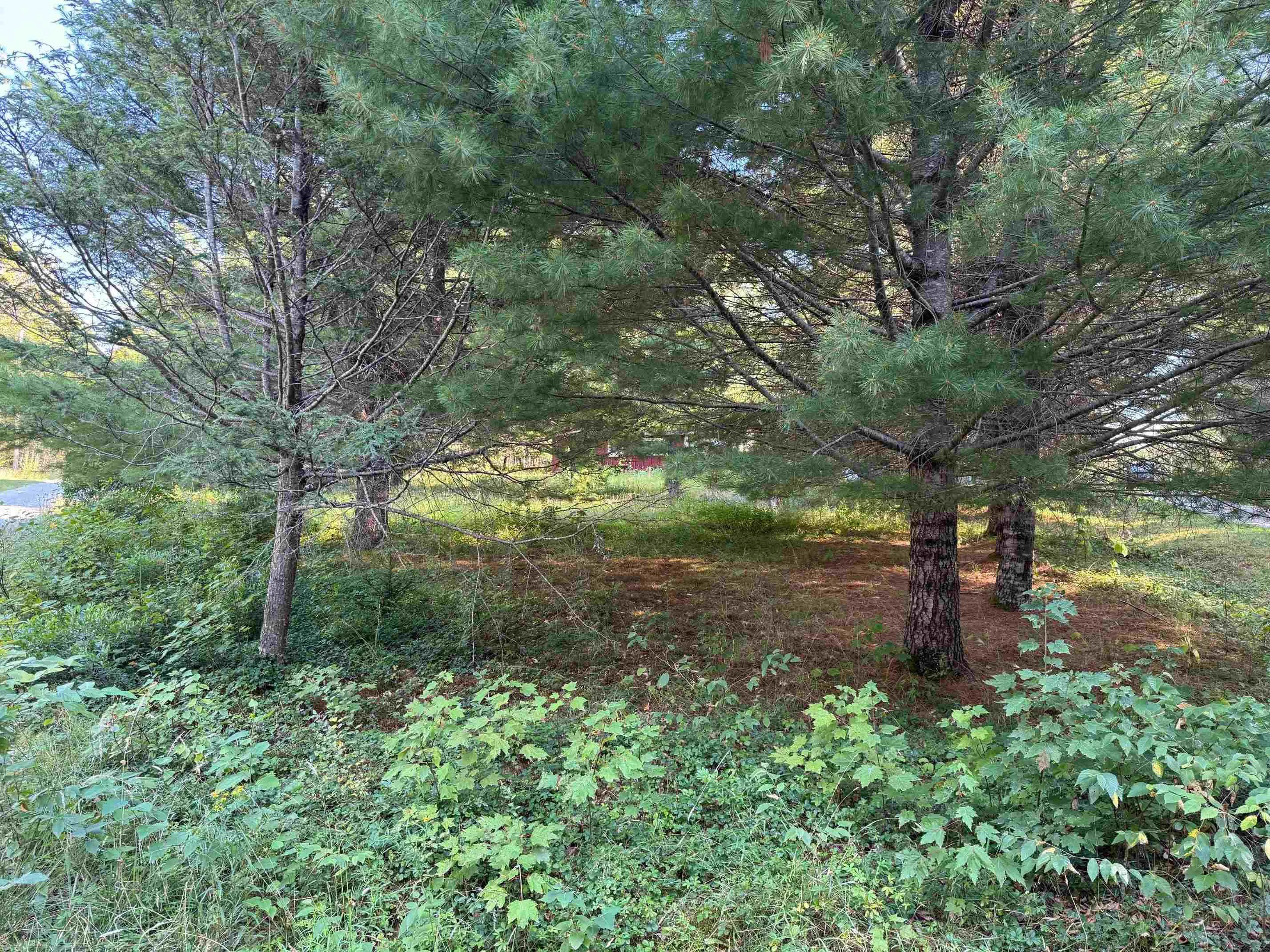 199 Kempt Back Lake Road, Kemptville, NS B5A 5X9, ,Land,For Sale,Kempt Back Lake,202520995