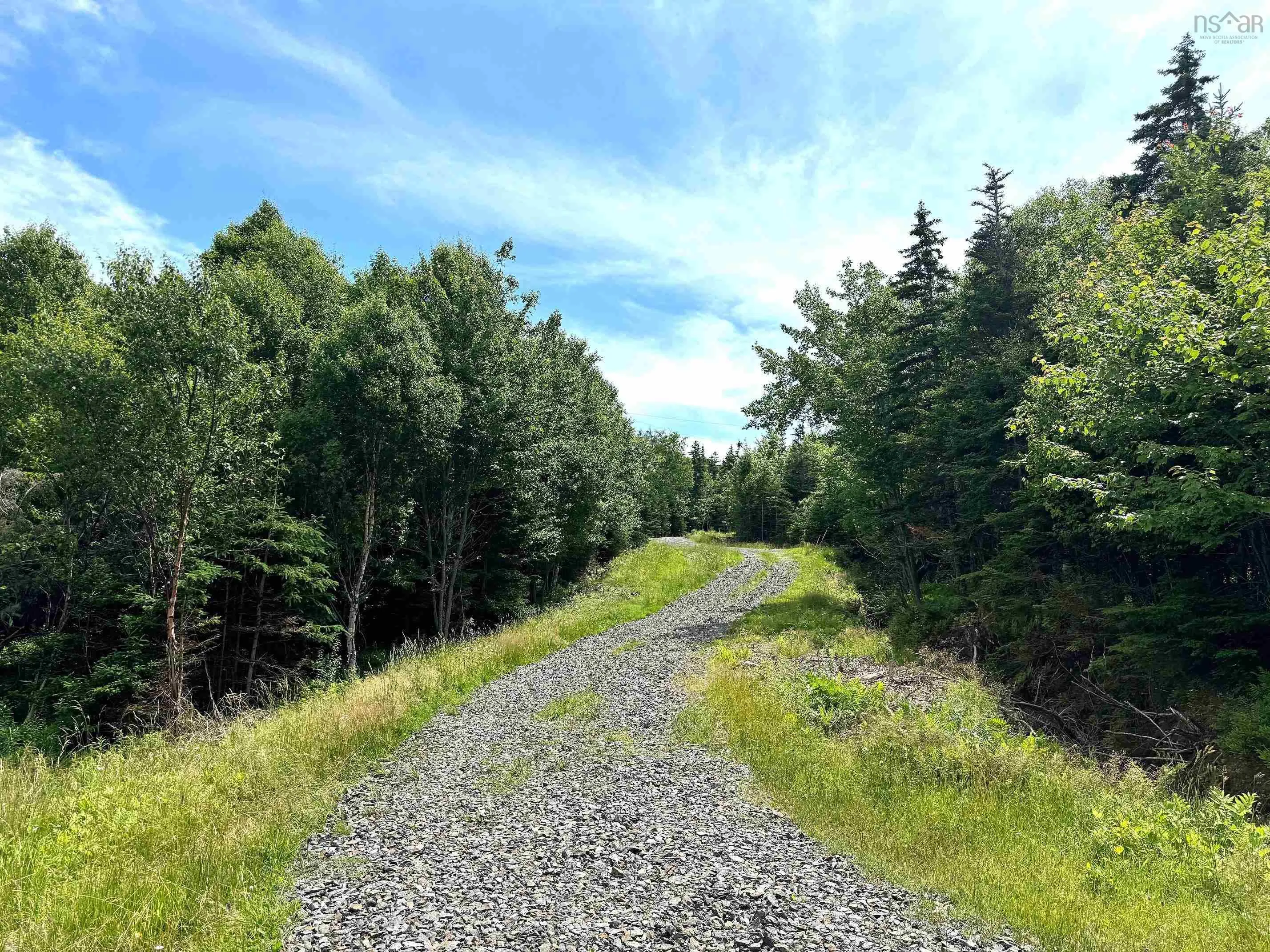 Nature Dream Boulevard, Roberta, NS B0E 3B0, ,Land,For Sale,Nature Dream Boulevard,202518494