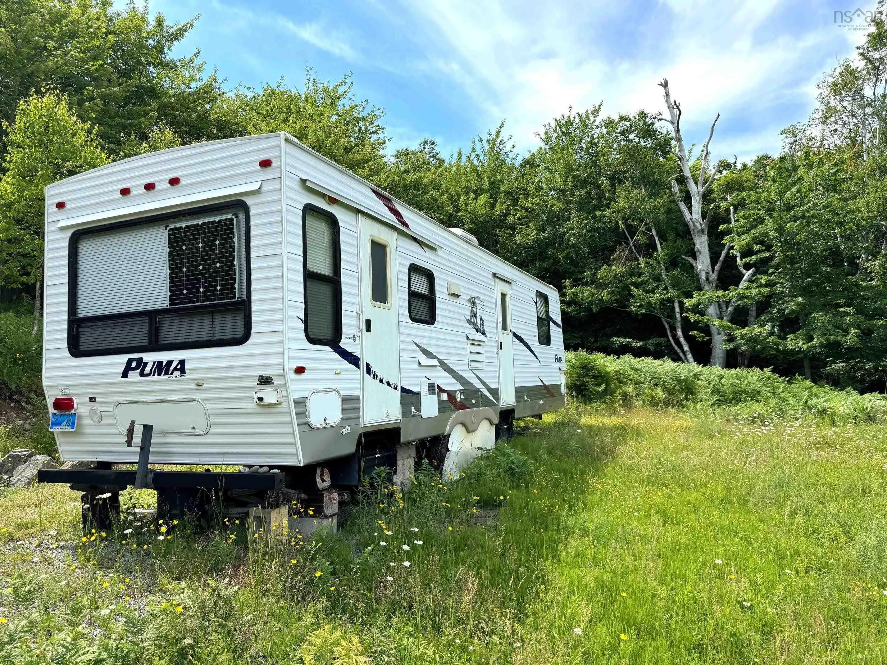 Nature Dream Boulevard, Roberta, NS B0E 3B0, ,Land,For Sale,Nature Dream Boulevard,202518494