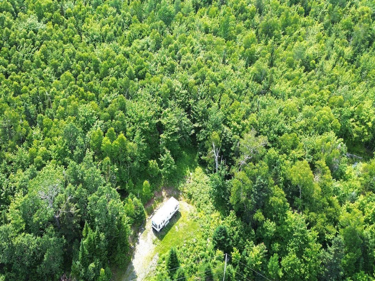 Nature Dream Boulevard, Roberta, NS B0E 3B0, ,Land,For Sale,Nature Dream Boulevard,202518494