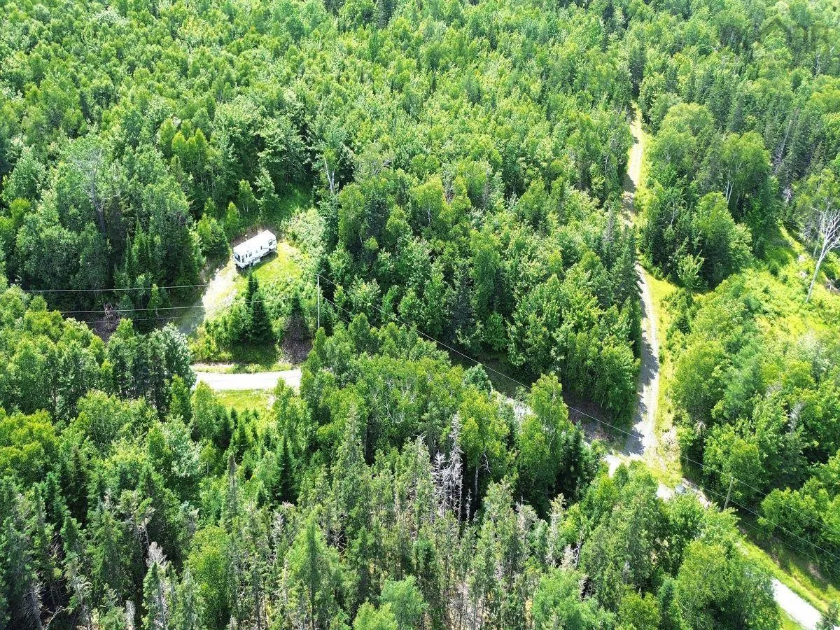 Nature Dream Boulevard, Roberta, NS B0E 3B0, ,Land,For Sale,Nature Dream Boulevard,202518494