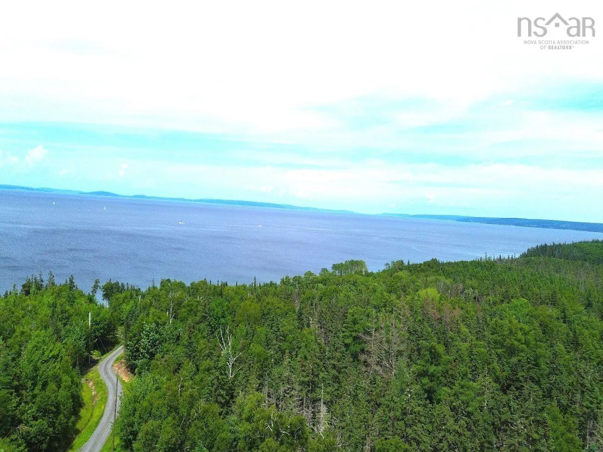 Nature Dream Boulevard, Roberta, NS B0E 3B0, ,Land,For Sale,Nature Dream Boulevard,202518494