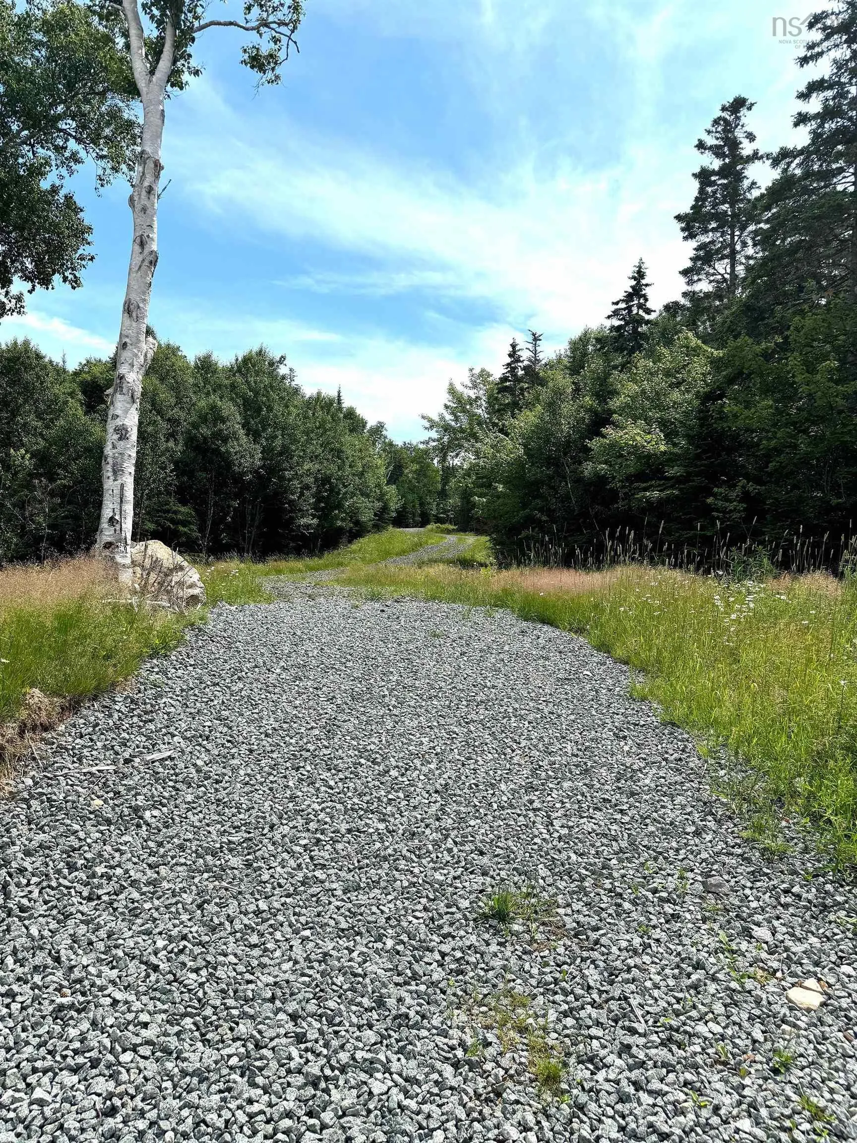 Nature Dream Boulevard, Roberta, NS B0E 3B0, ,Land,For Sale,Nature Dream Boulevard,202518494