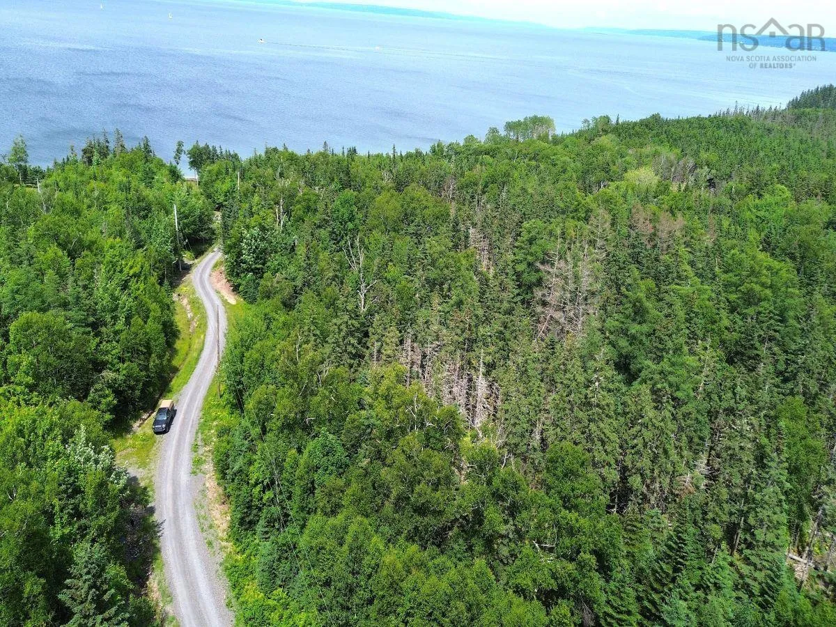 Nature Dream Boulevard, Roberta, NS B0E 3B0, ,Land,For Sale,Nature Dream Boulevard,202518494