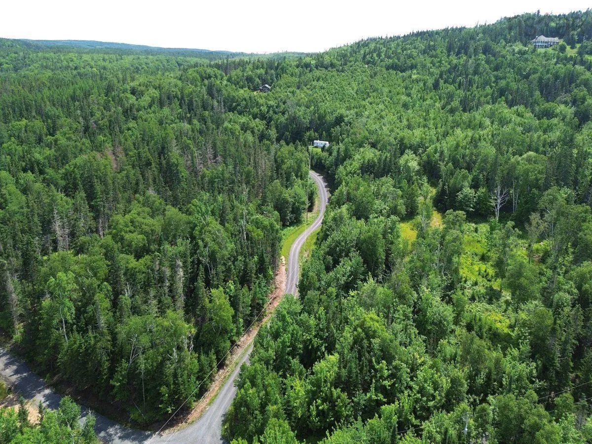 Nature Dream Boulevard, Roberta, NS B0E 3B0, ,Land,For Sale,Nature Dream Boulevard,202518494