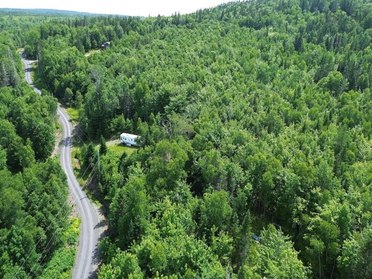 Nature Dream Boulevard, Roberta, NS B0E 3B0, ,Land,For Sale,Nature Dream Boulevard,202518494