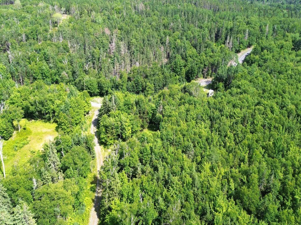 Nature Dream Boulevard, Roberta, NS B0E 3B0, ,Land,For Sale,Nature Dream Boulevard,202518494
